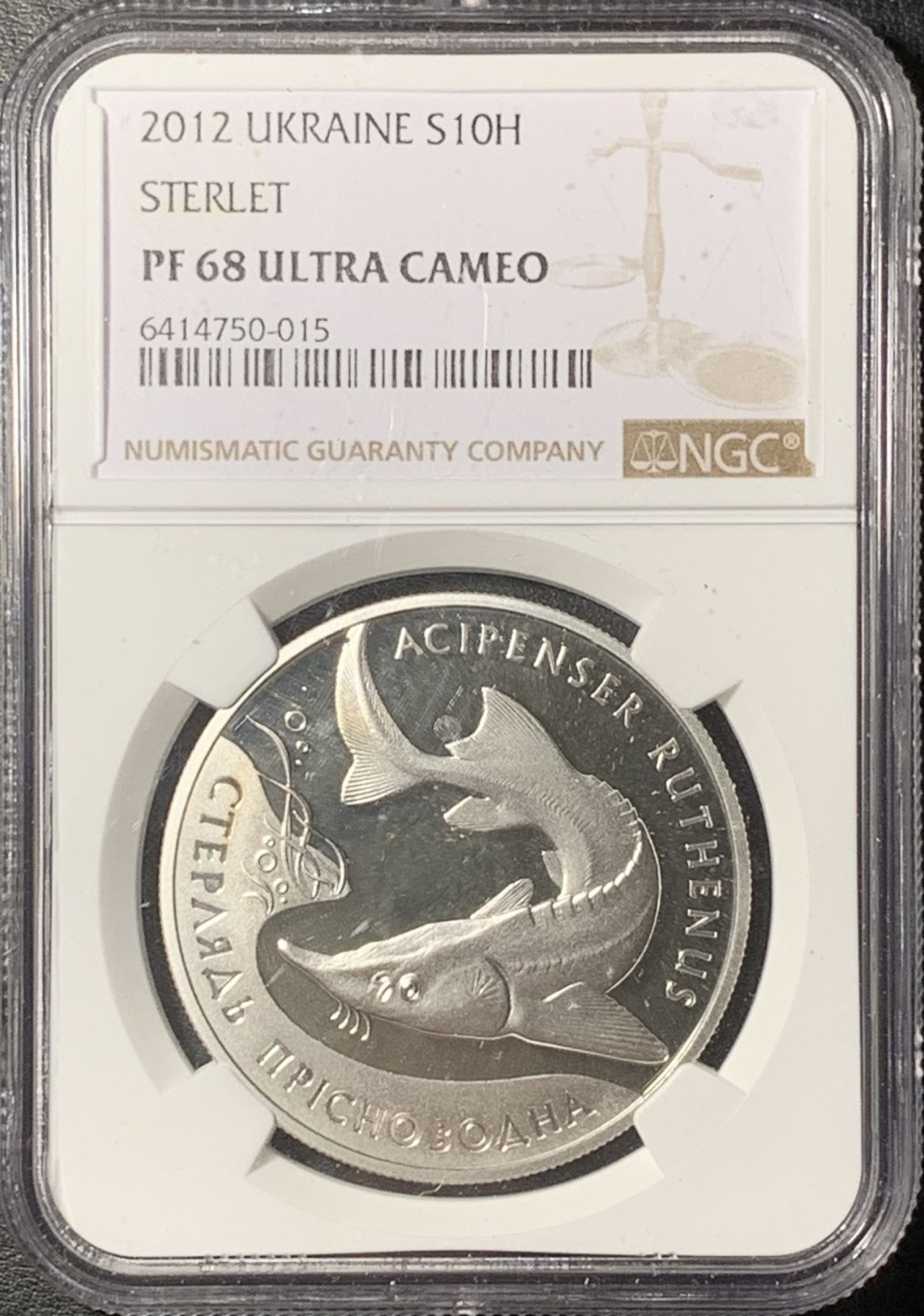 紫瑗钱币——第331期拍卖 乌克兰 2012年 小体鲟鱼 10格里芬 银币 NGC PR68 UC