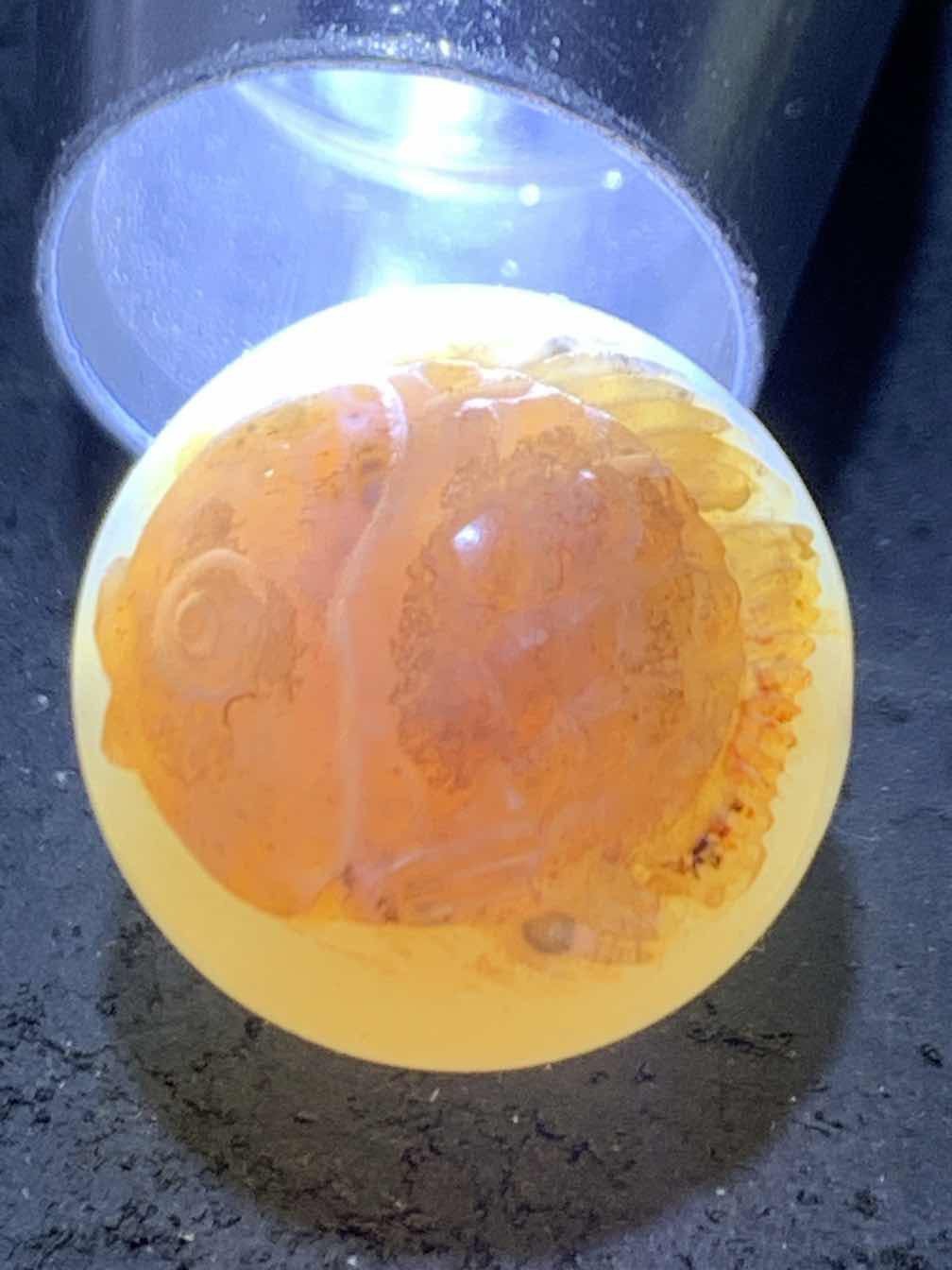精美高玉化亚光海洋玉髓手工俏色巧雕红鲤鱼，莲花意境圆珠一个！