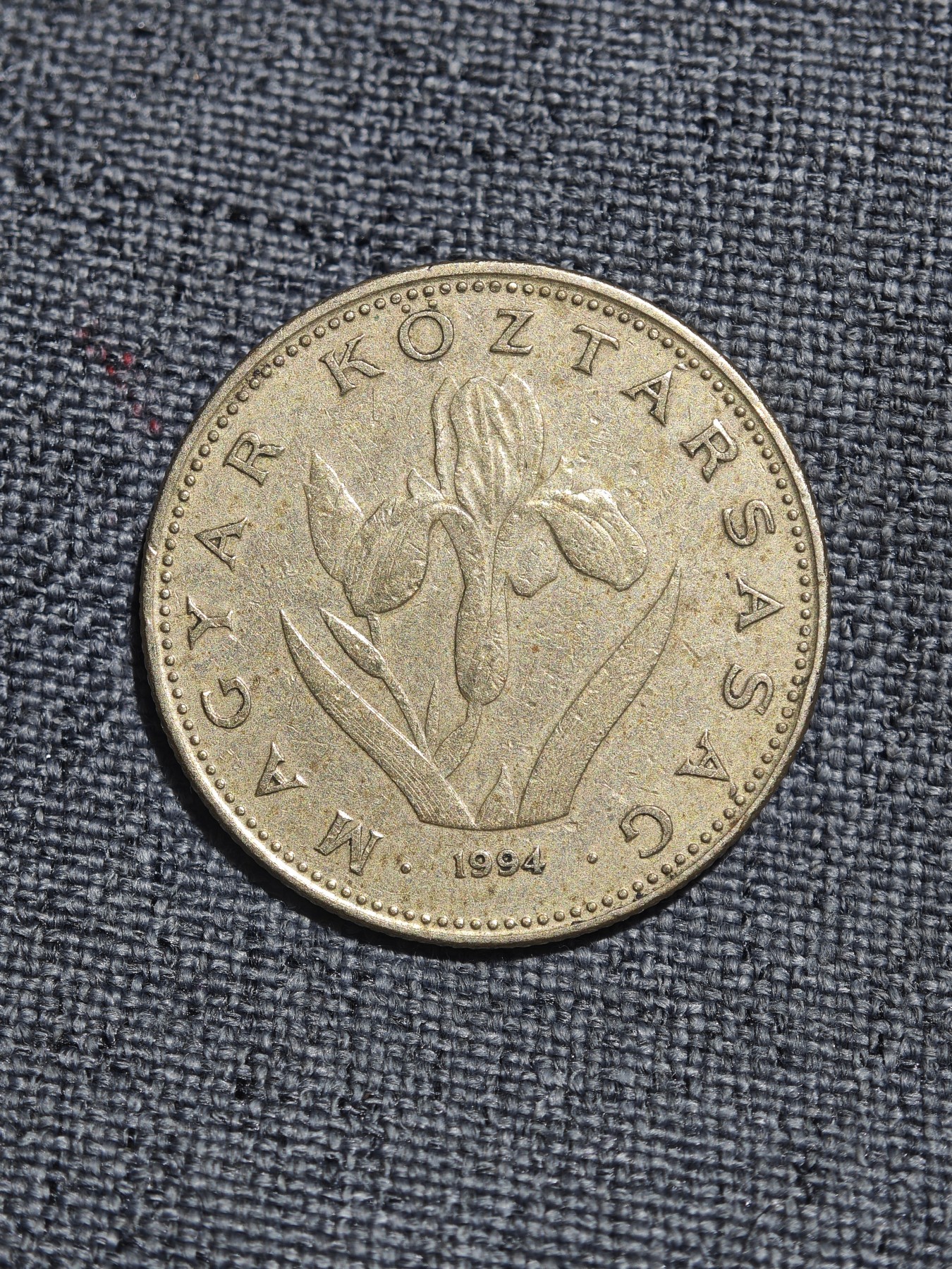 外国硬币收藏店第4期 匈牙利1994年兰花20福林