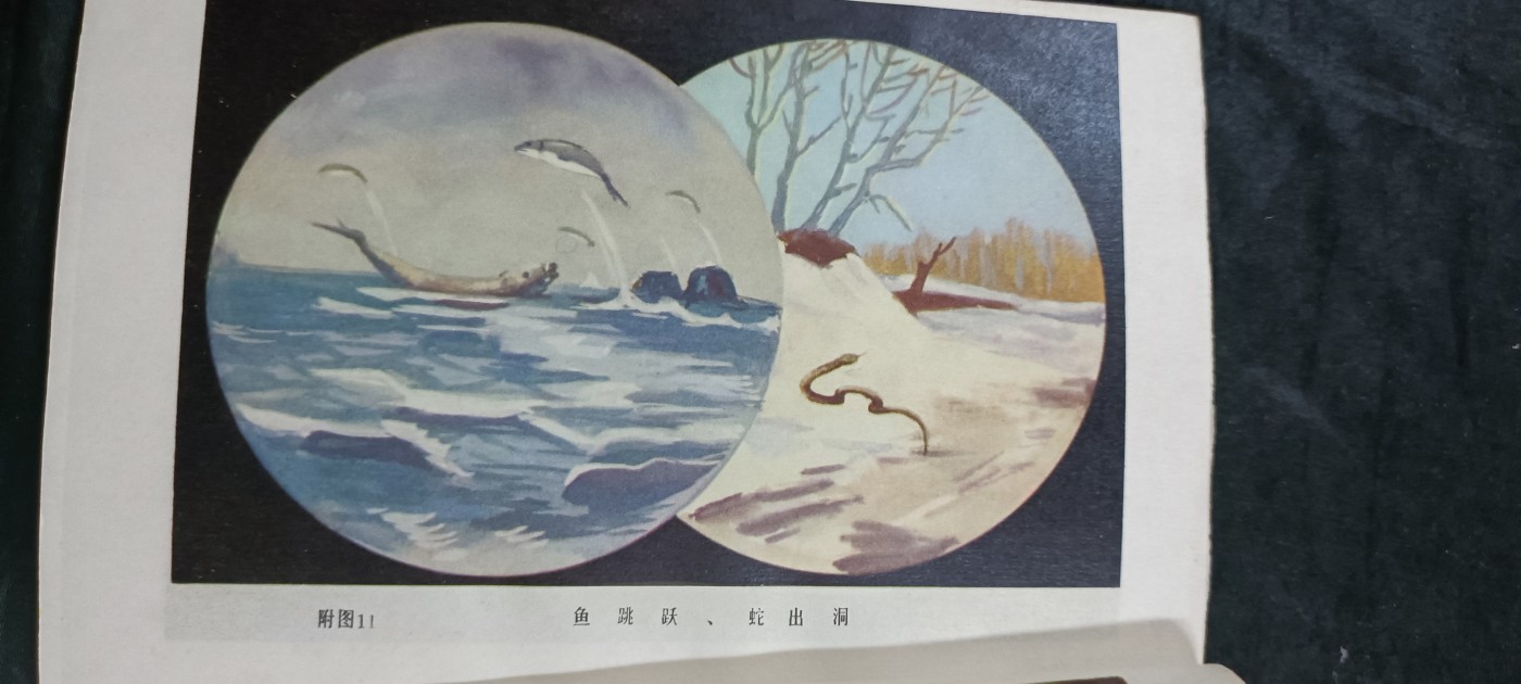 徽章文献拍卖，满百包邮，可以寄存！ 科普读物，多彩图