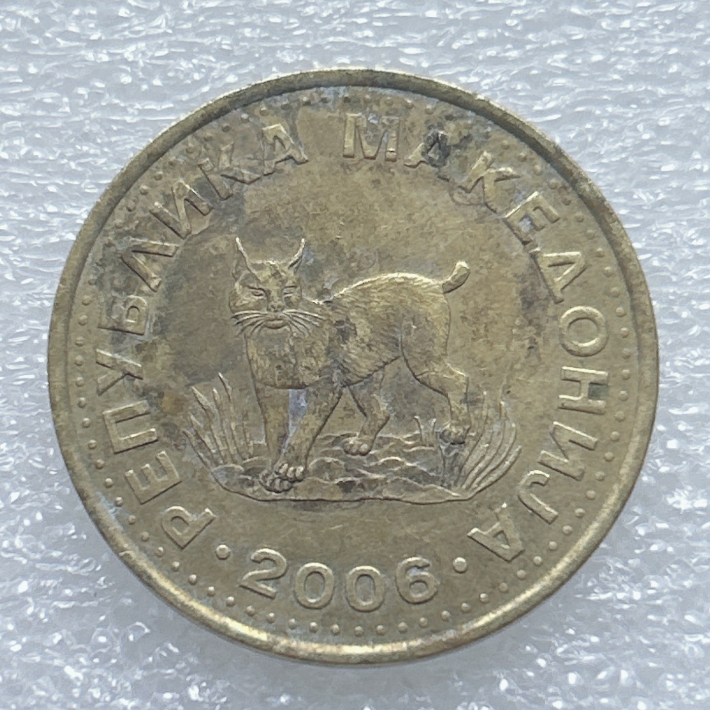 全场一元起拍 世界钱币散币、银币专场 第45期 马其顿2006年5第纳尔硬币 猫