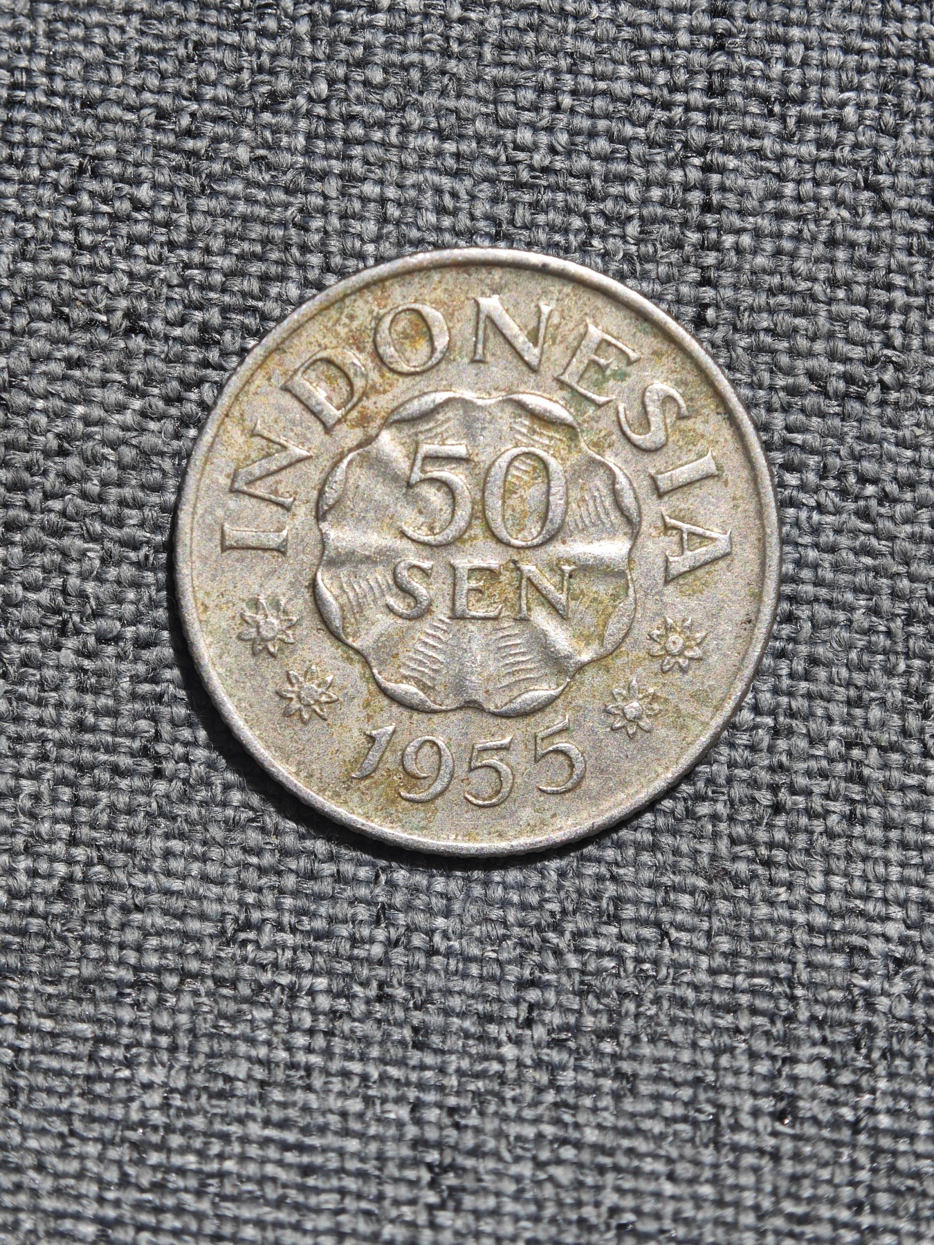 外国硬币收藏店第4期 印度尼西亚老版1955年迪博尼哥50仙