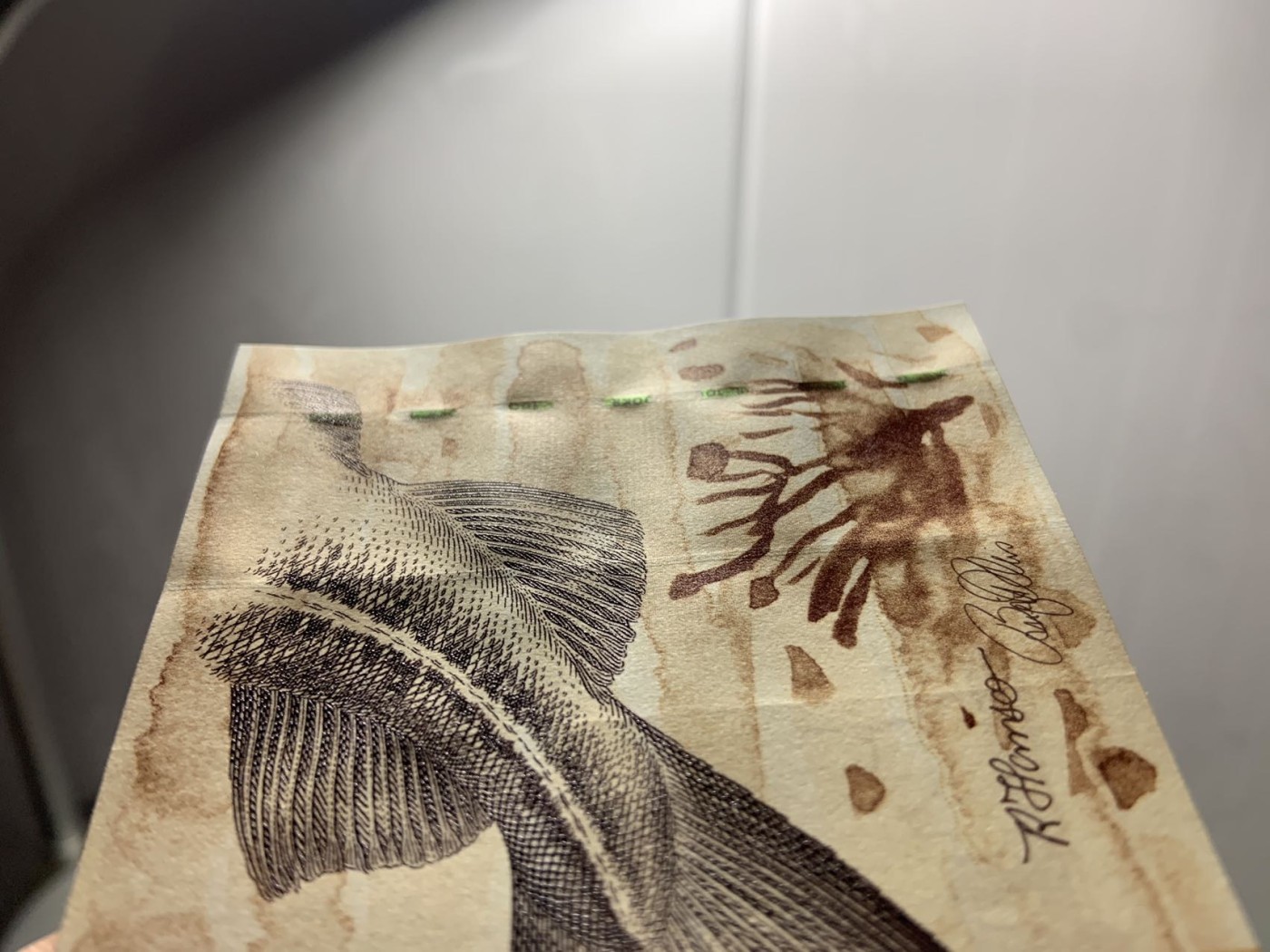 收藏联盟Quantum Auction 第309期拍卖  法罗群岛2003年100克朗 品相全新UNC 细线初版 票面印痕为正常工艺