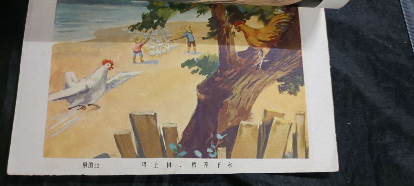 徽章文献拍卖，满百包邮，可以寄存！ 科普读物，多彩图
