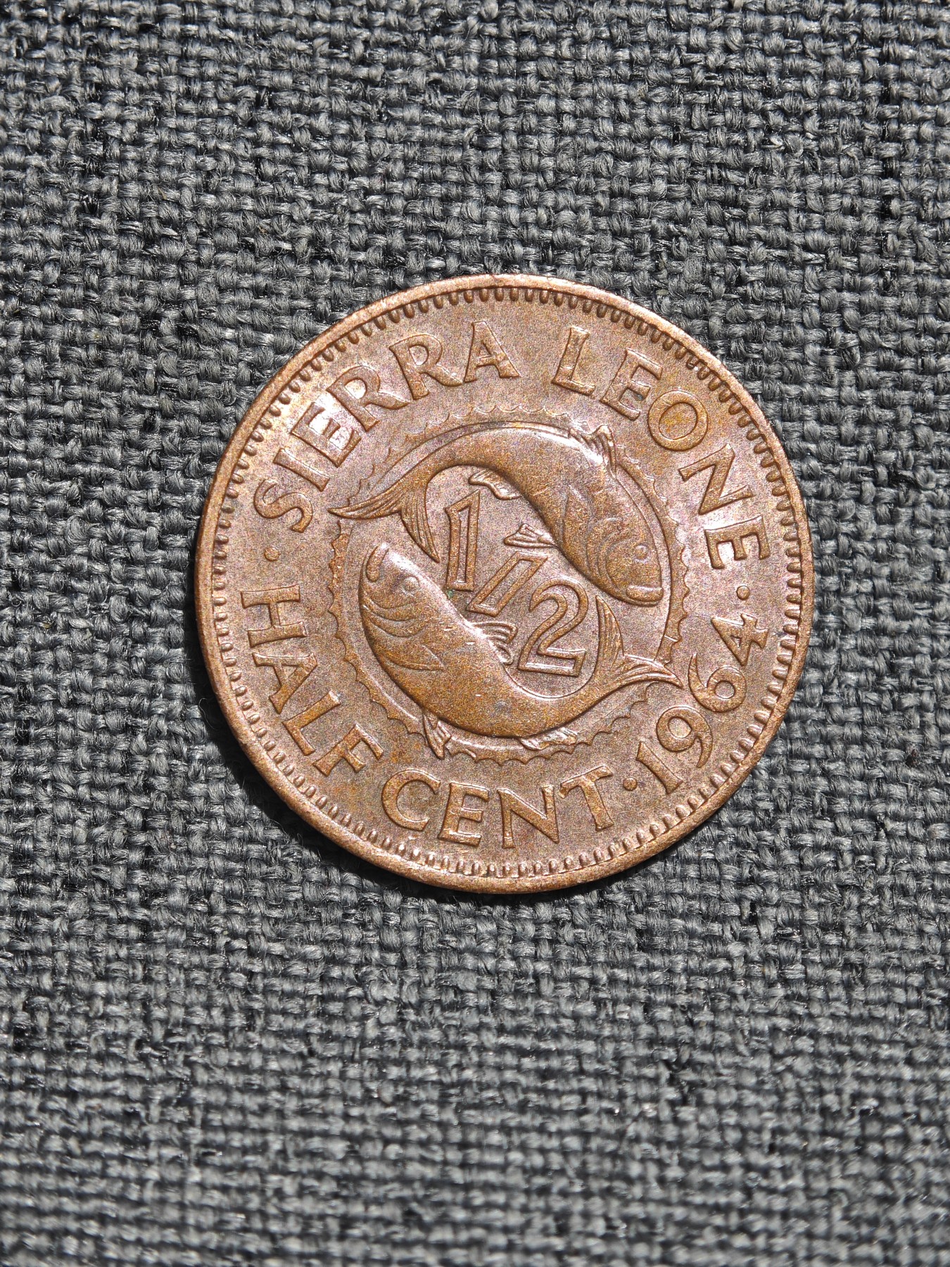 外国硬币收藏店第4期 塞拉利昂1964年双鱼二分之一铜币