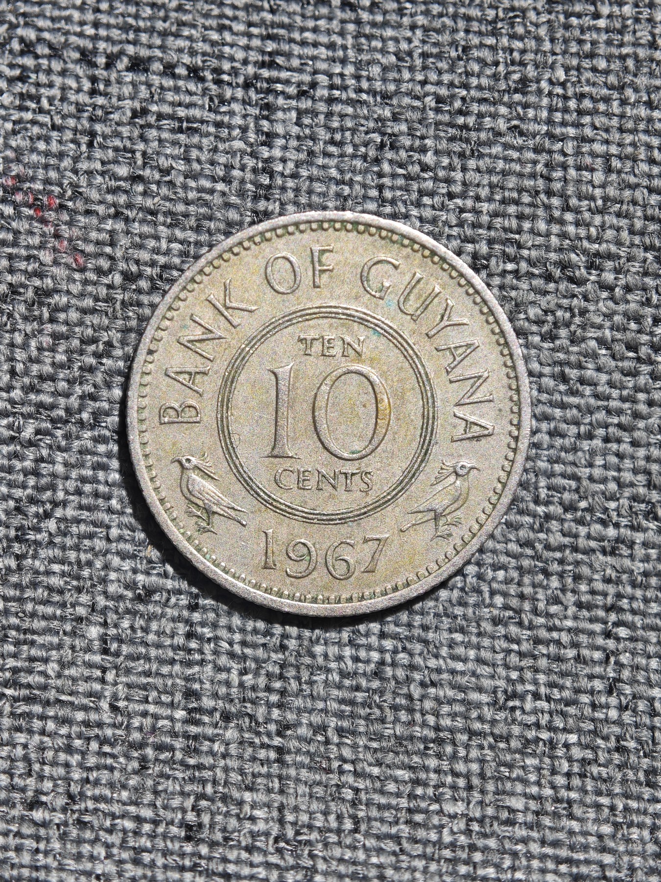 外国硬币收藏店第4期 少见圭亚那1967年国徽双鸟10分