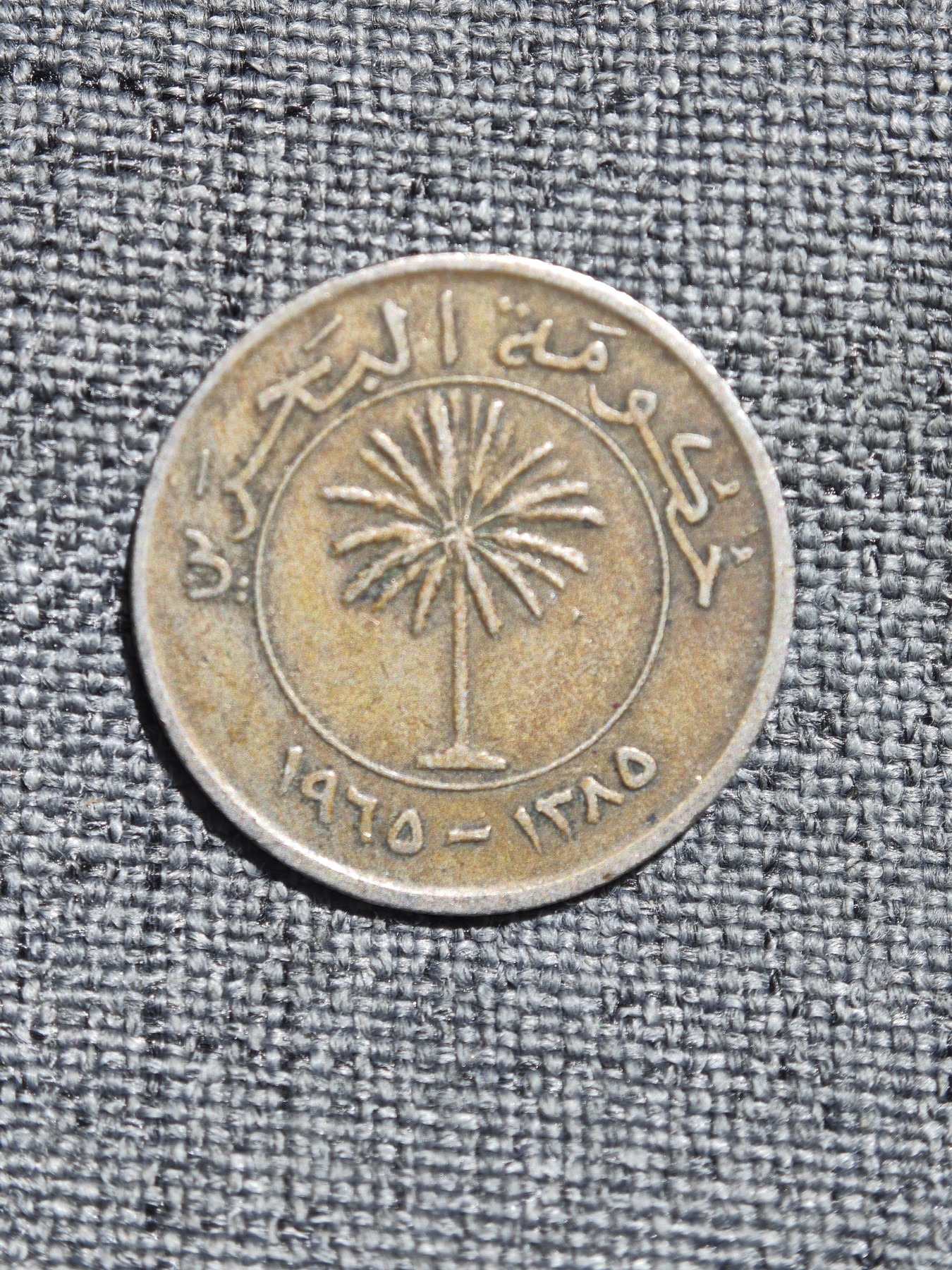 外国硬币收藏店第4期 巴林1965年椰枣树50费尔