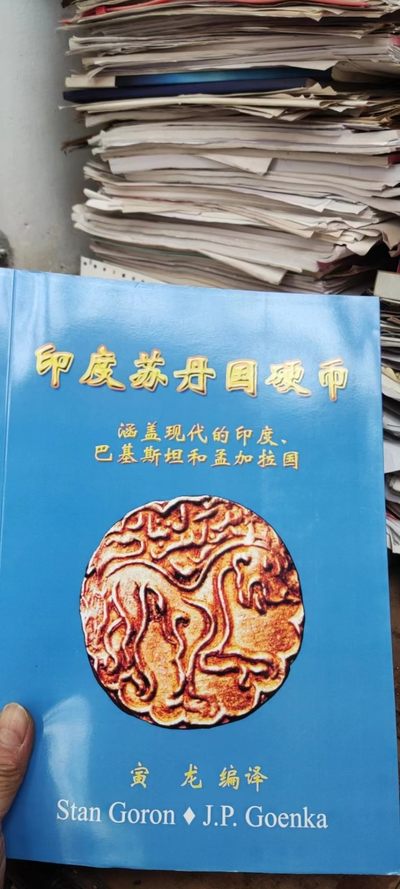 印度苏丹国硬币（涵盖现代的印度、巴基斯坦和孟加拉国）（9品左右） - 印度苏丹国硬币（涵盖现代的印度、巴基斯坦和孟加拉国）（9品左右）