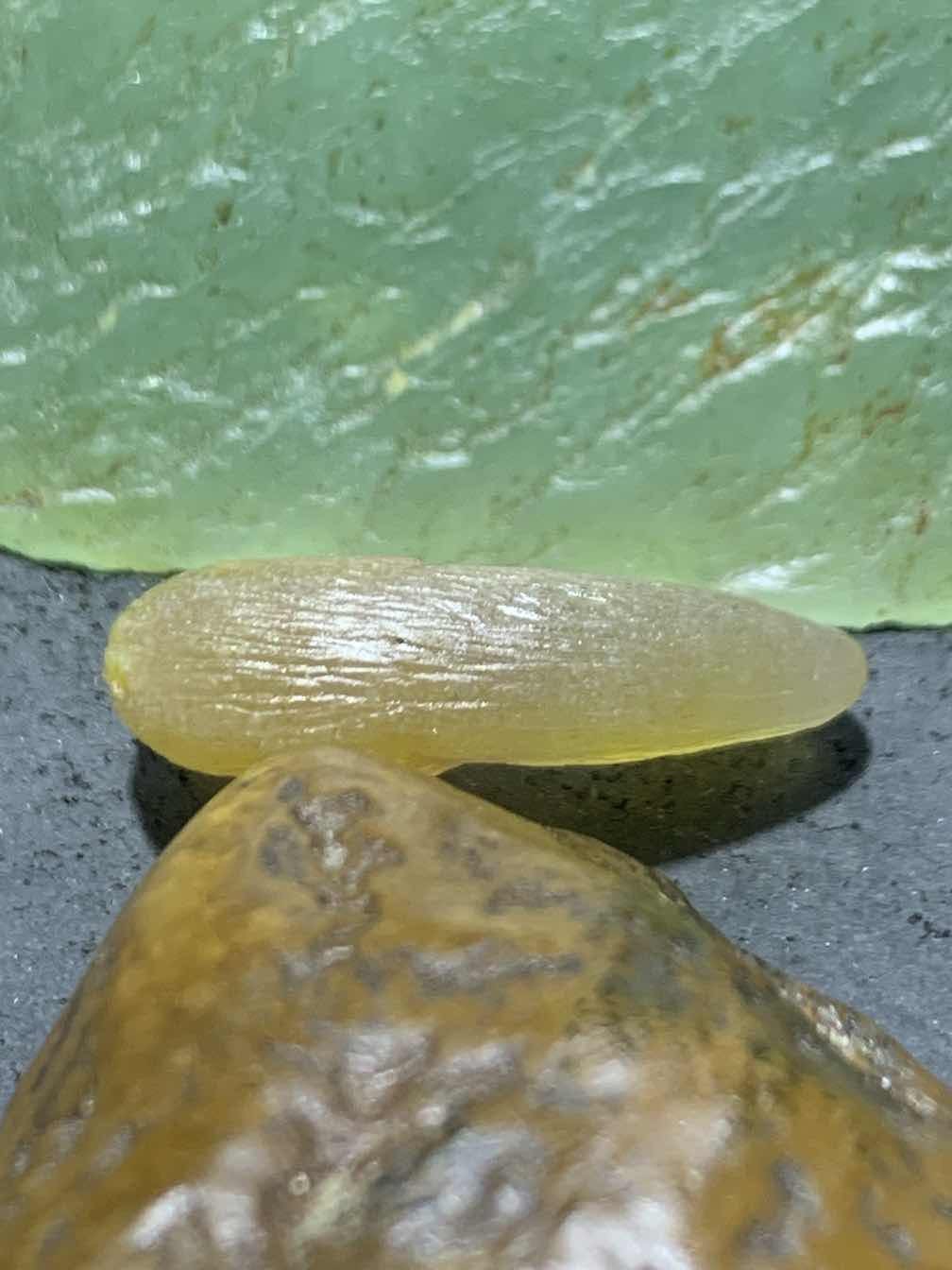 精美亚光高润度冻料蒙料战国红玛瑙手工俏色巧雕刻鹦鹉吊坠一个
