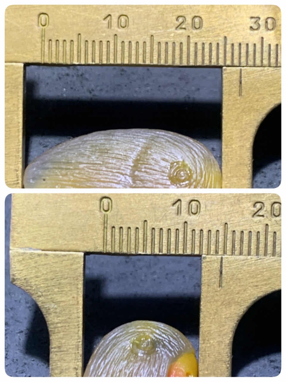精美亚光高润度冻料蒙料战国红玛瑙手工俏色巧雕刻鹦鹉吊坠一个
