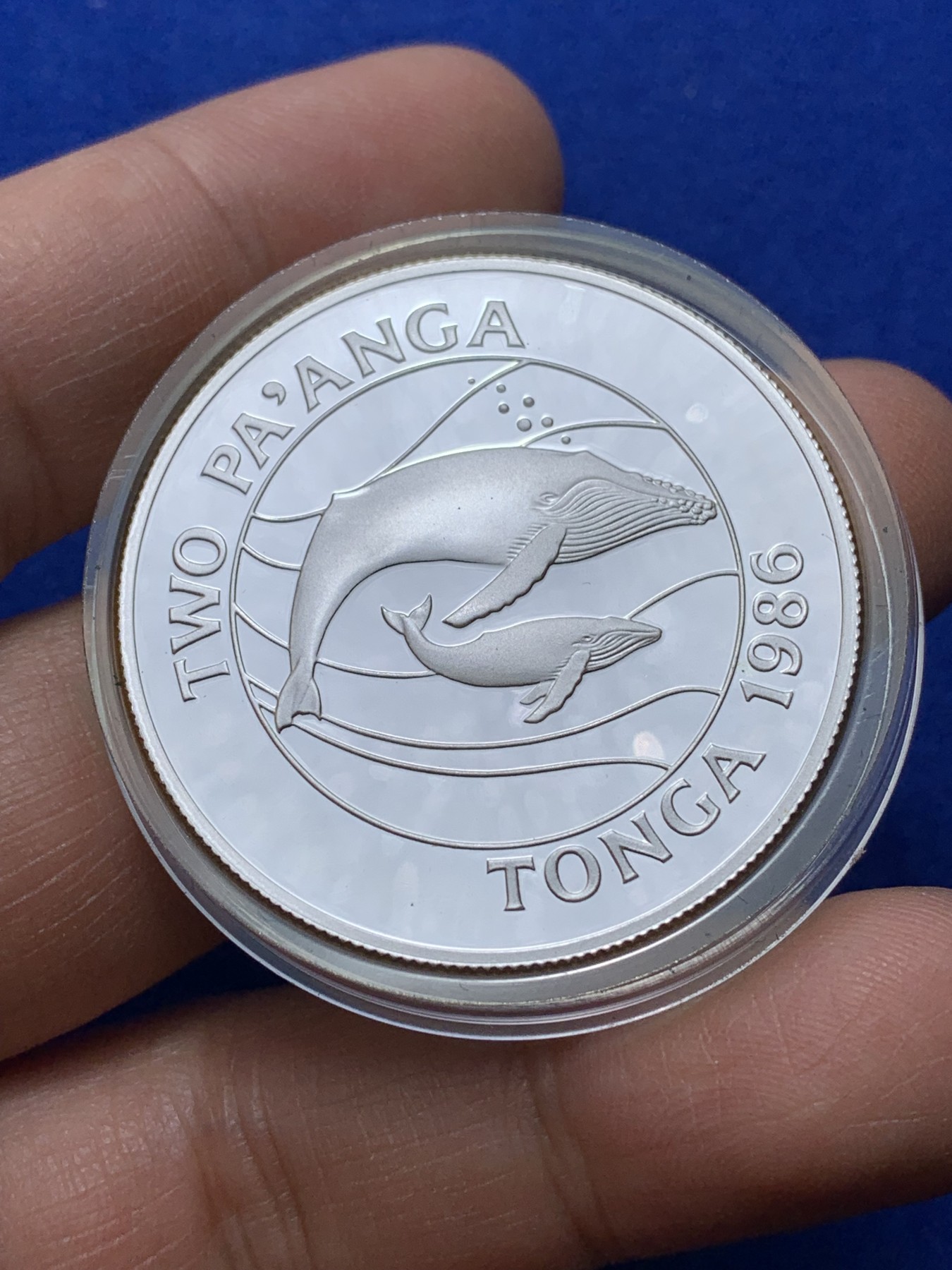 《竞宝斋》第222场-周日，周一 2场 (全场包邮) 汤加1986年世界野生动物基金会系列座头鲸2潘加精制银币。直径39mm，重28.28g，925银，发行量25000枚。PROOF镜面状态精制币，带证书，状态极佳。