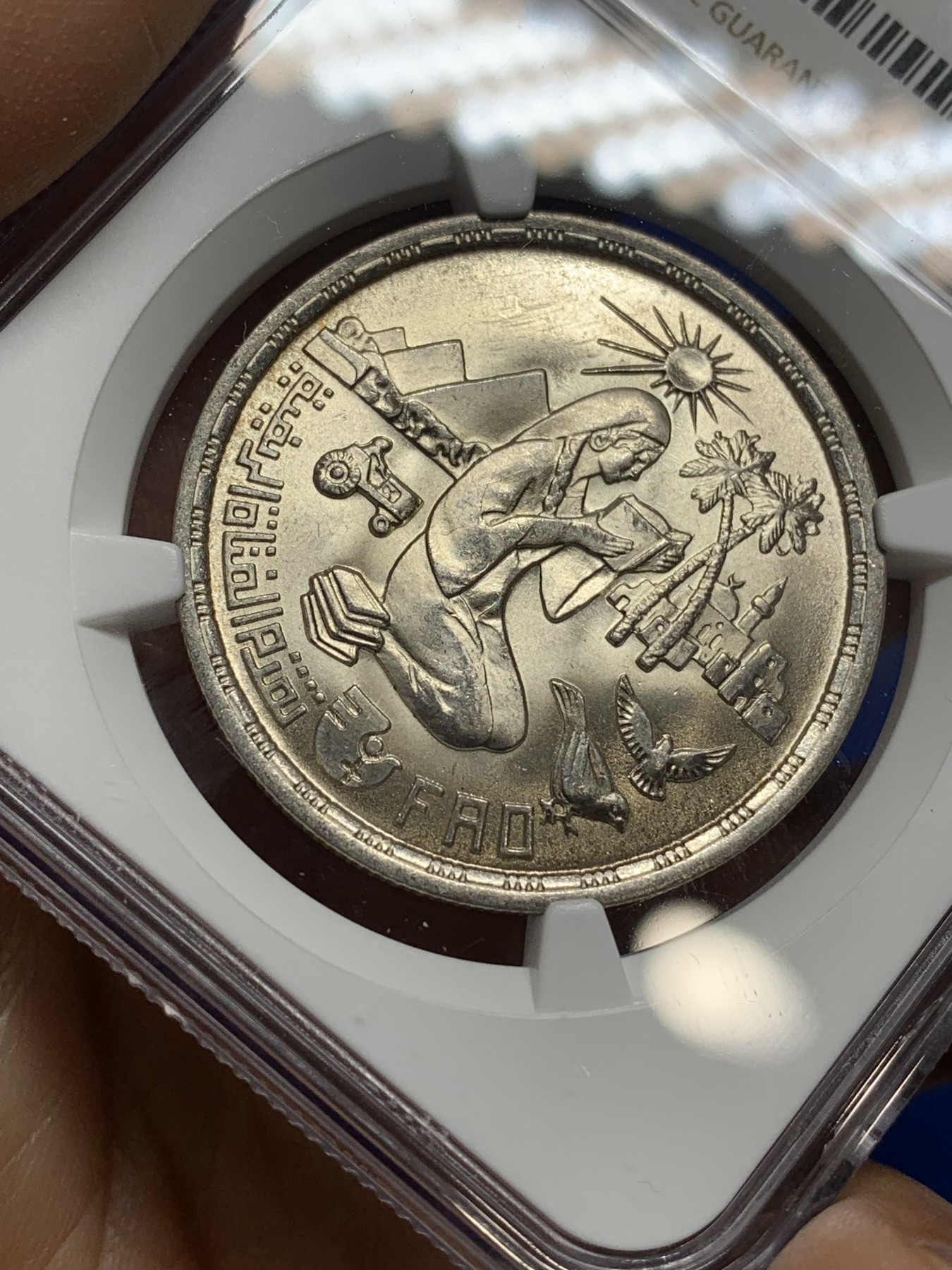 《竞宝斋》第222场-周日，周一 2场 (全场包邮) NGC MS65 埃及1980年埃及FAO纪念1镑银币，发行量97000 018