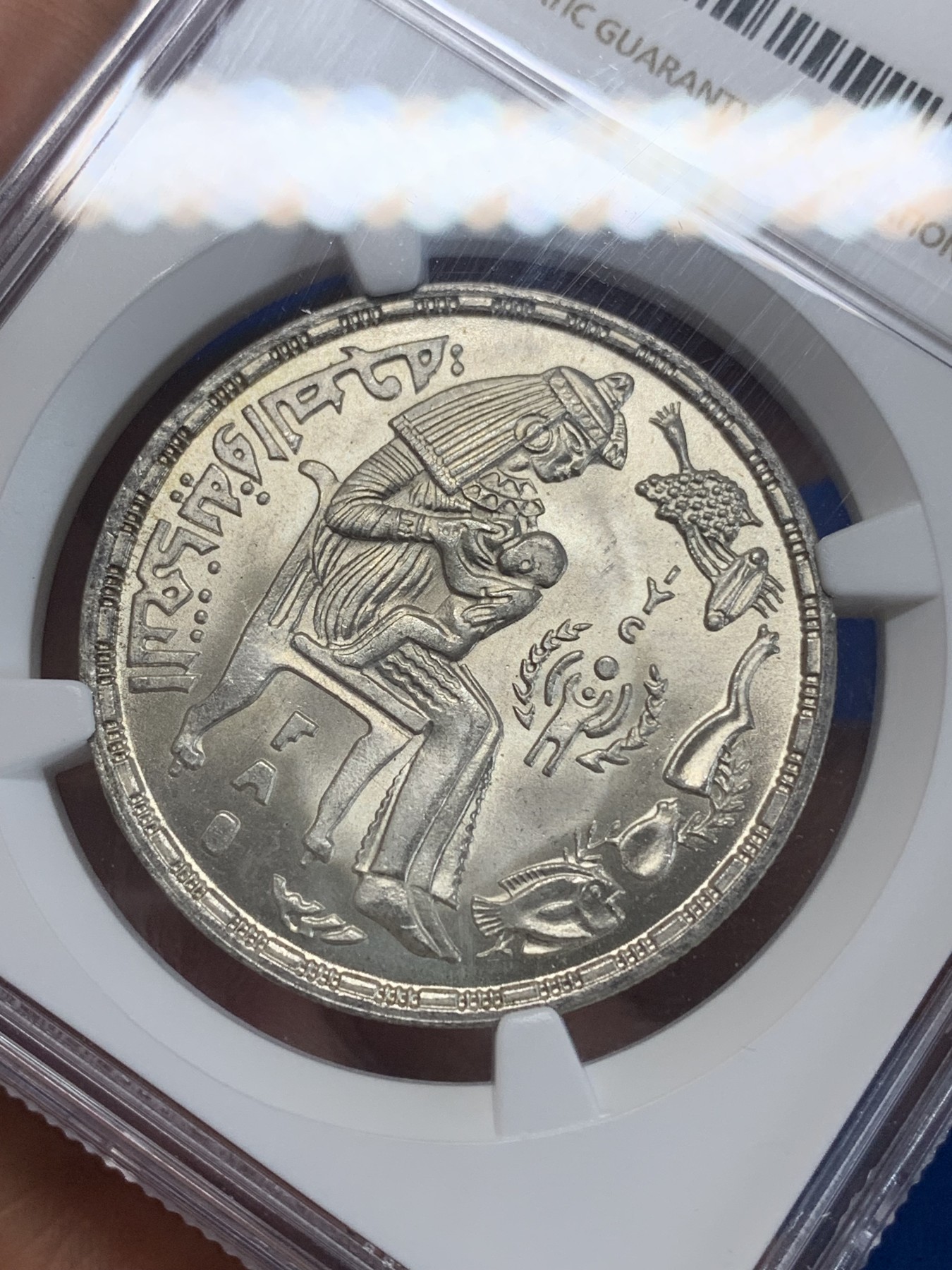 《竞宝斋》第222场-周日，周一 2场 (全场包邮) NGC MS63 埃及1979年FAO和国际儿童年纪念1镑银币，发行量48000 023