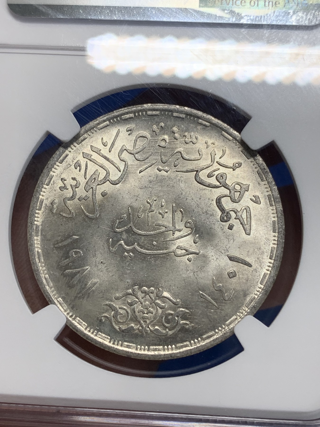 《竞宝斋》第222场-周日，周一 2场 (全场包邮) NGC MS64 埃及1981年埃及FAO纪念1镑银币，发行量50000 016