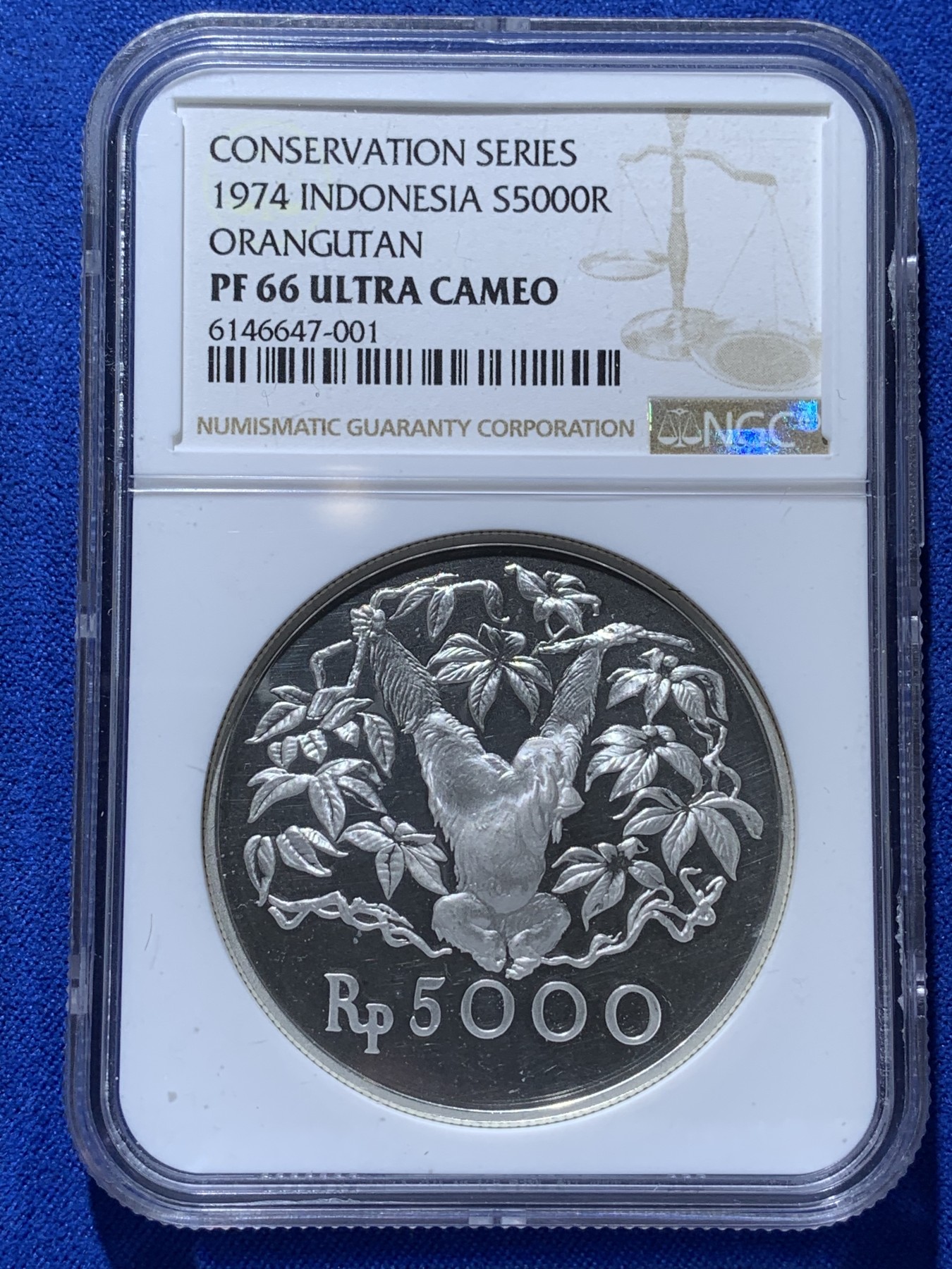 《竞宝斋》第222场-周日，周一 2场 (全场包邮) NGC-PF66 印度尼西亚1974年猩猩5000卢比精制银币，直径42mm，重35g，925银，发行量17000枚。PROOF镜面状态精制币，状态极佳，高分精品