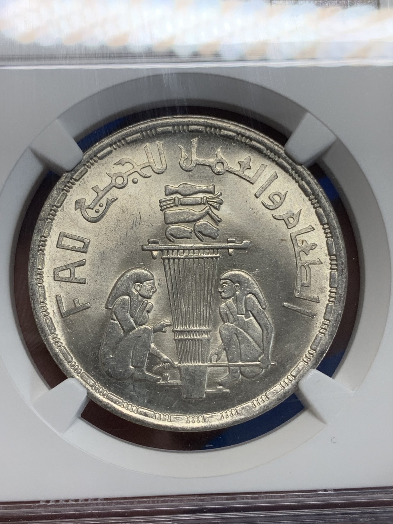 《竞宝斋》第222场-周日，周一 2场 (全场包邮) NGC MS64 埃及1981年埃及FAO纪念1镑银币，发行量50000 016