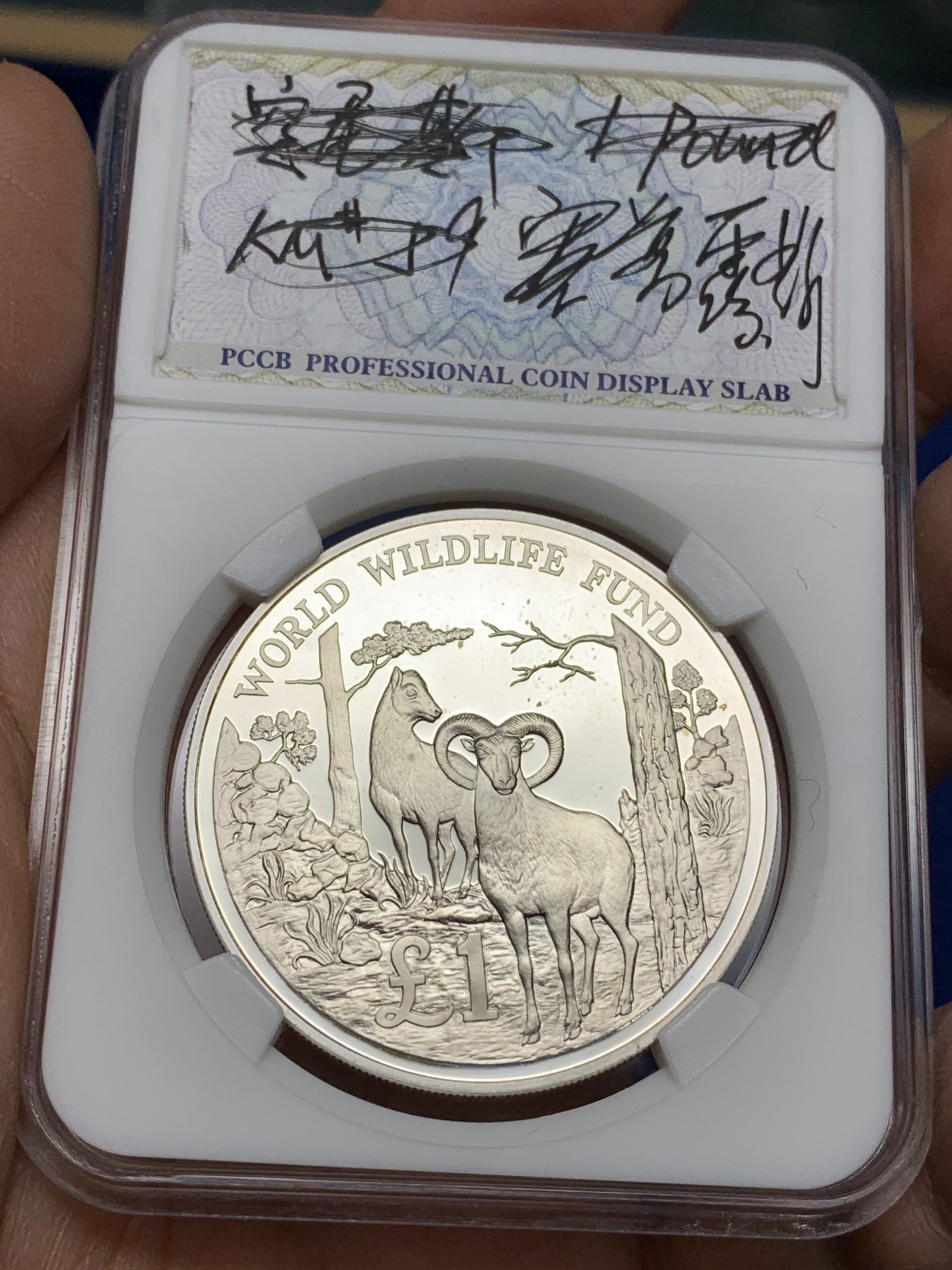 《竞宝斋》第222场-周日，周一 2场 (全场包邮) 塞浦路斯1986年1元精制大银币