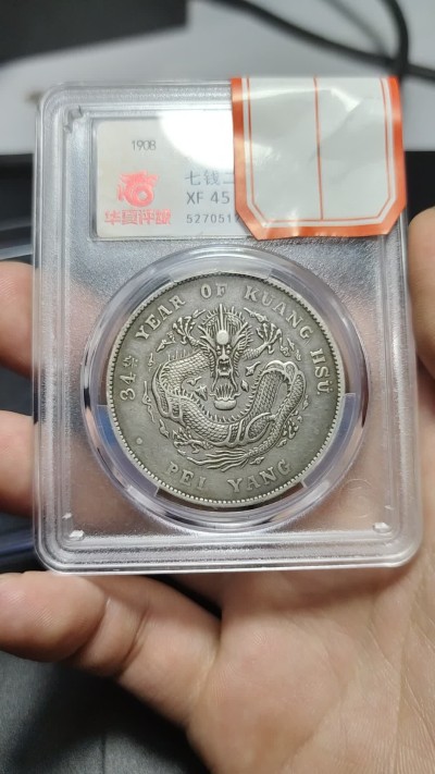 北洋龙pcgs98涂鸦