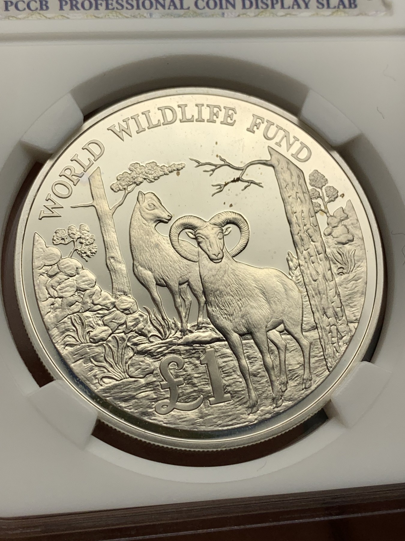 《竞宝斋》第222场-周日，周一 2场 (全场包邮) 塞浦路斯1986年1元精制大银币