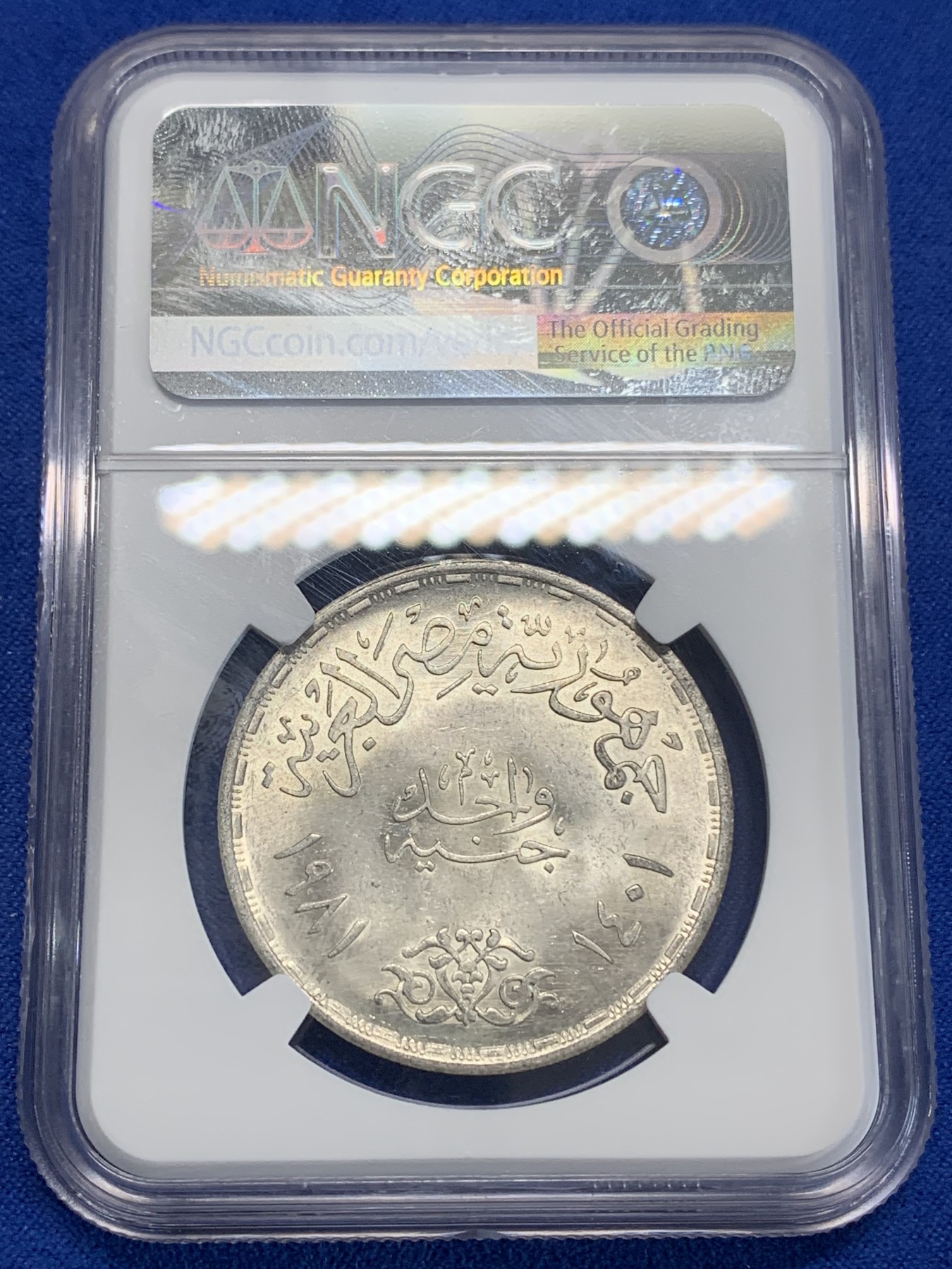 《竞宝斋》第222场-周日，周一 2场 (全场包邮) NGC MS64 埃及1981年埃及FAO纪念1镑银币，发行量50000 016