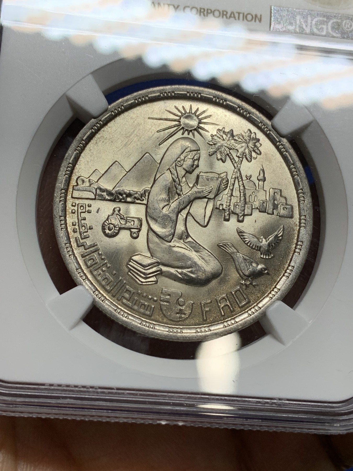 《竞宝斋》第222场-周日，周一 2场 (全场包邮) NGC MS65 埃及1980年埃及FAO纪念1镑银币，发行量97000 018