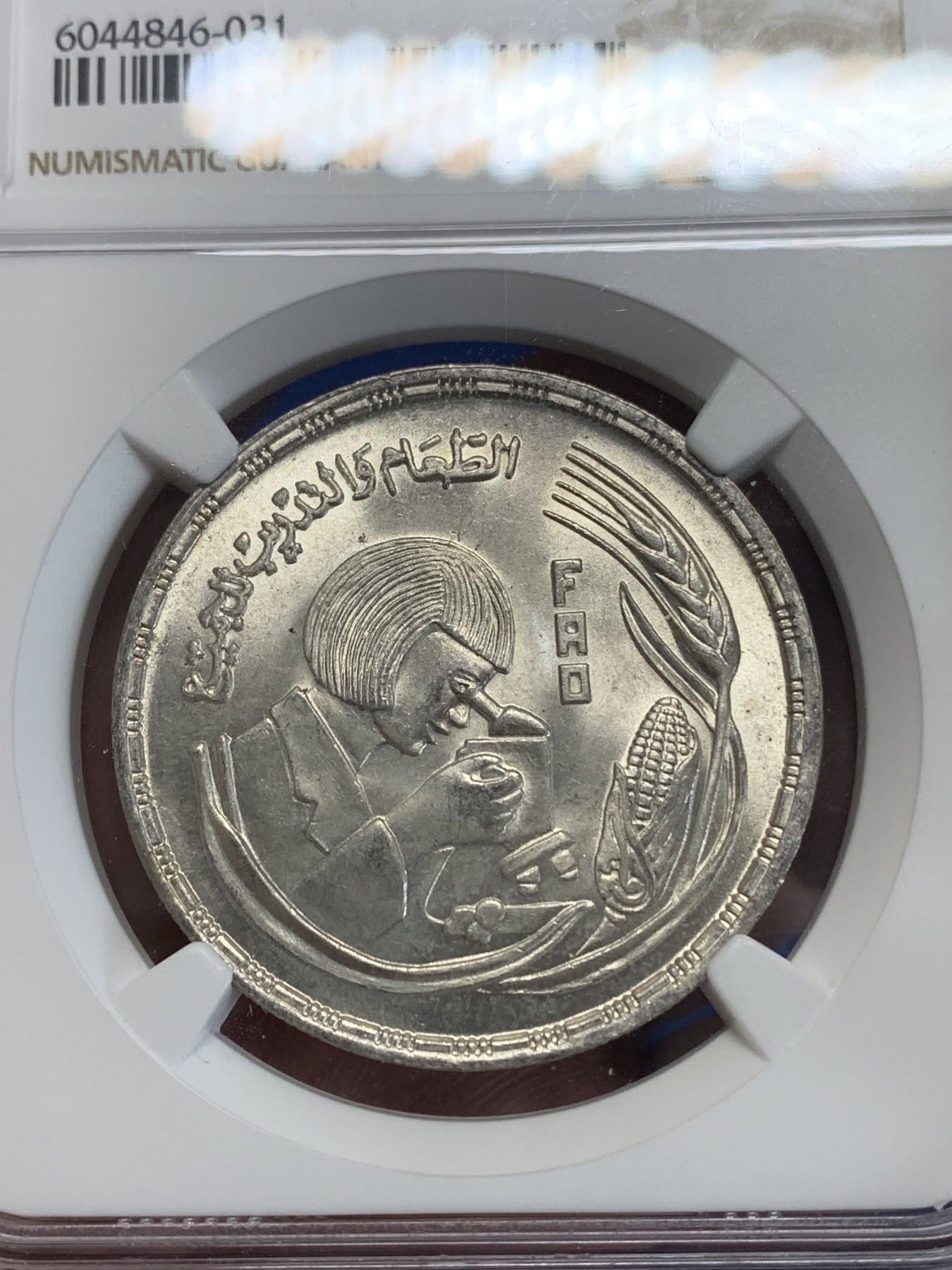 《竞宝斋》第222场-周日，周一 2场 (全场包邮) NGC MS64 埃及1978年FAO纪念1镑银币，发行量50000 031