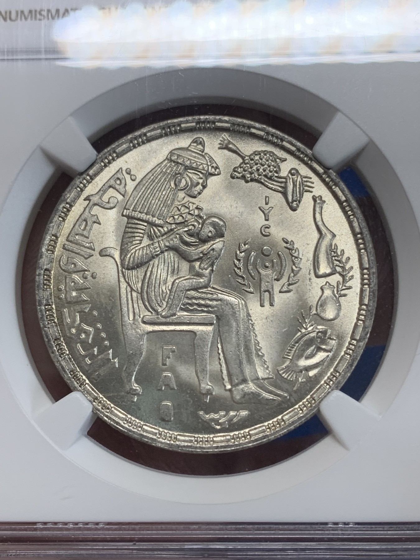 《竞宝斋》第222场-周日，周一 2场 (全场包邮) NGC MS63 埃及1979年FAO和国际儿童年纪念1镑银币，发行量48000 023