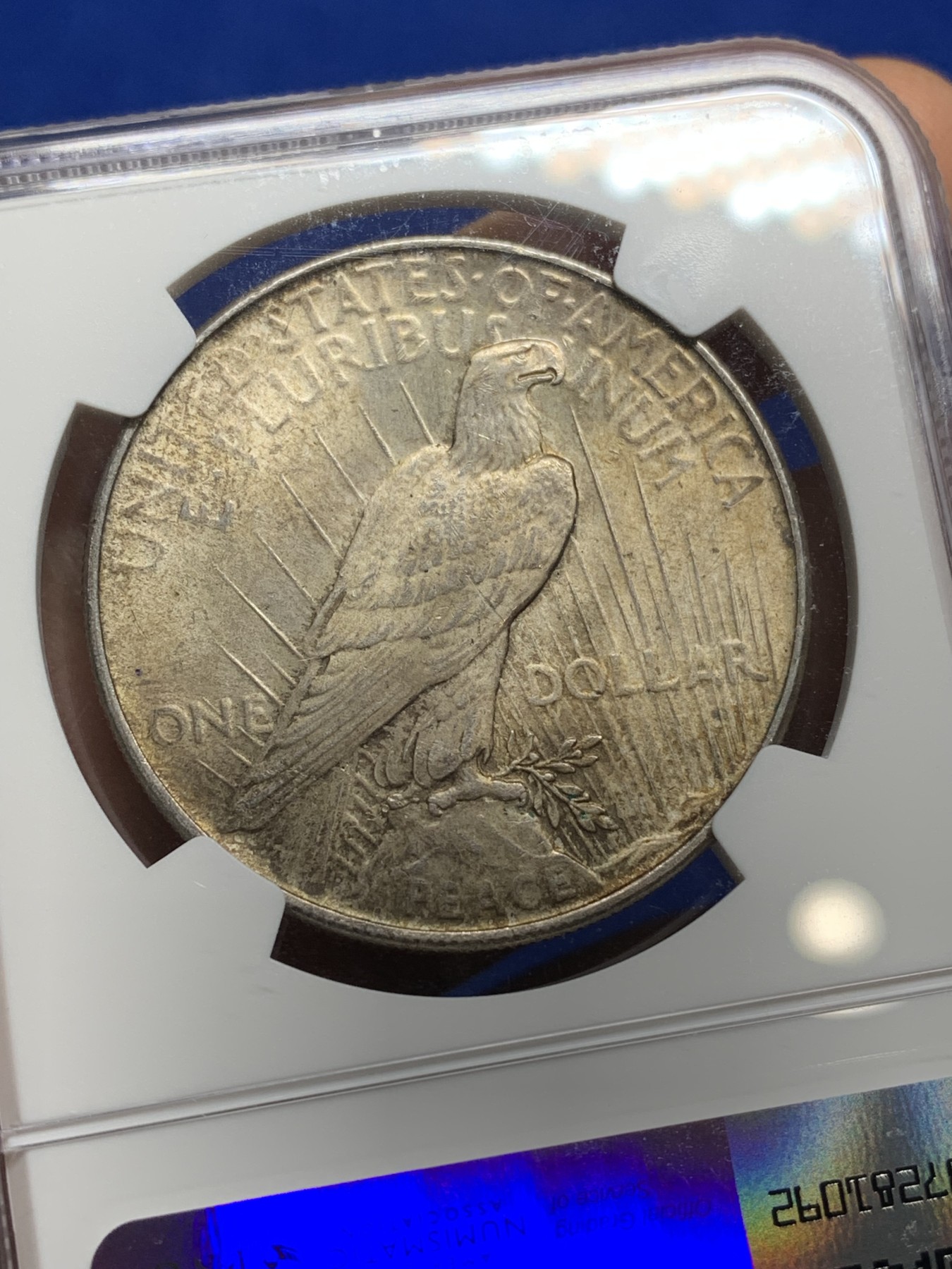 《竞宝斋》第222场-周日，周一 2场 (全场包邮) NGC-MS63分 美国1922年和平银币 转光深彩包浆