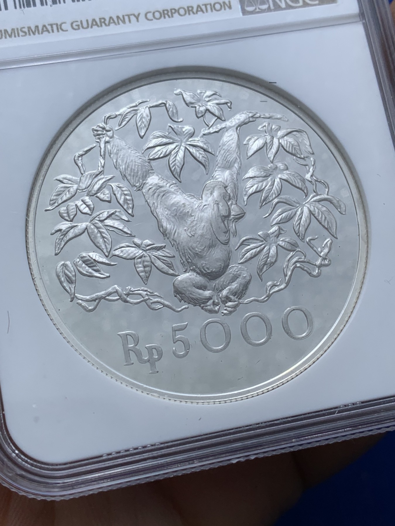 《竞宝斋》第222场-周日，周一 2场 (全场包邮) NGC-PF66 印度尼西亚1974年猩猩5000卢比精制银币，直径42mm，重35g，925银，发行量17000枚。PROOF镜面状态精制币，状态极佳，高分精品