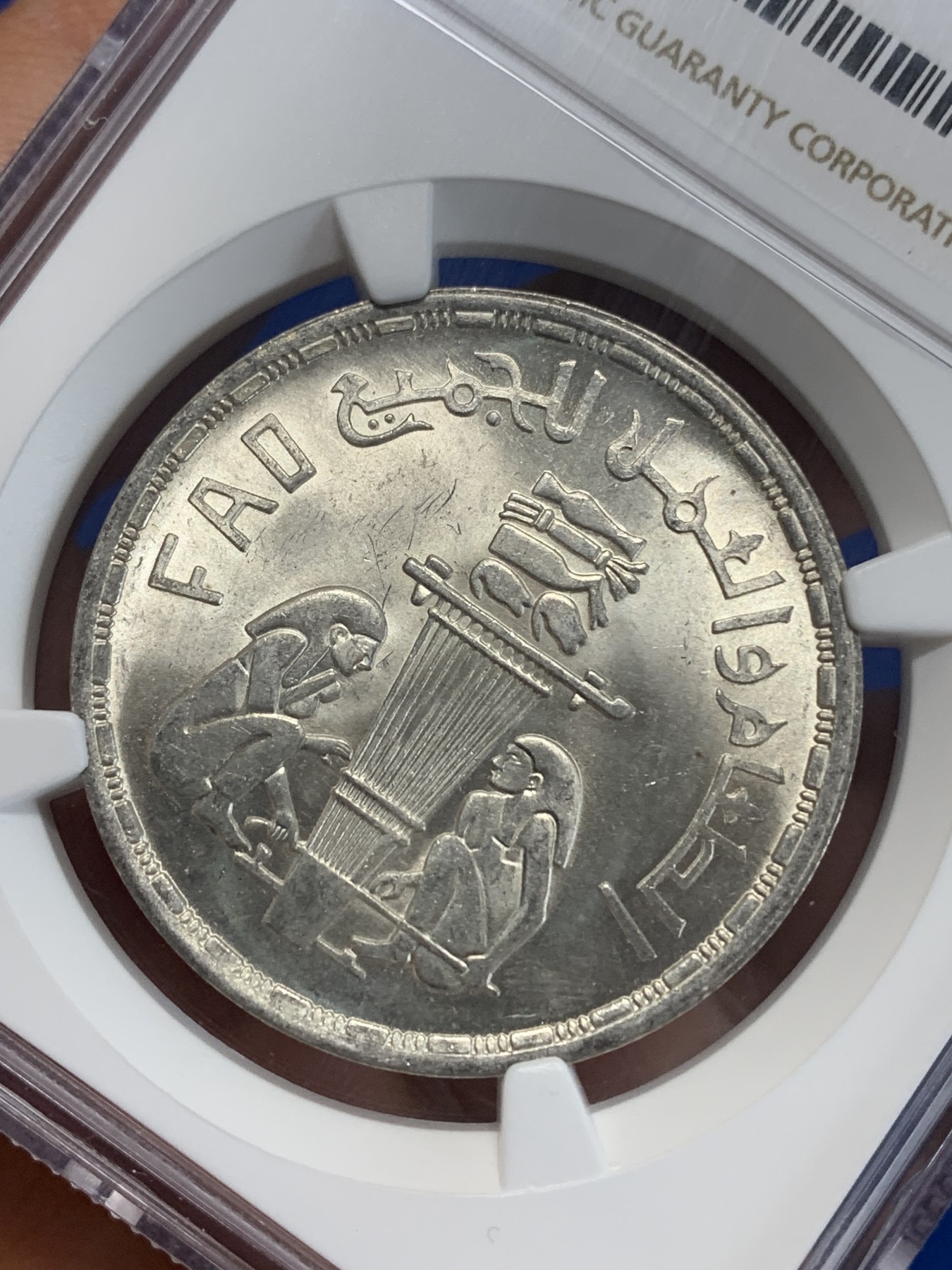 《竞宝斋》第222场-周日，周一 2场 (全场包邮) NGC MS64 埃及1981年埃及FAO纪念1镑银币，发行量50000 016