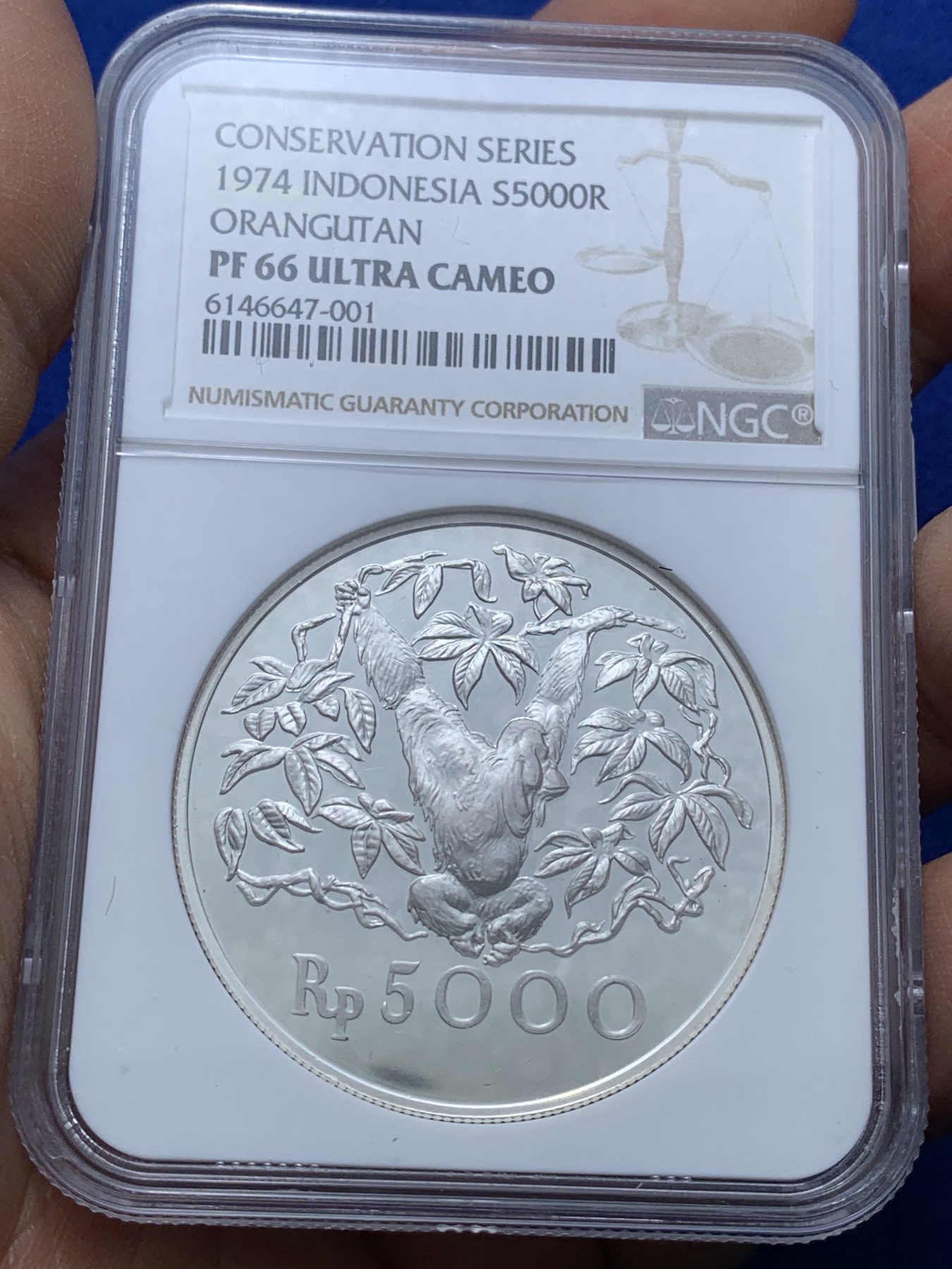 《竞宝斋》第222场-周日，周一 2场 (全场包邮) NGC-PF66 印度尼西亚1974年猩猩5000卢比精制银币，直径42mm，重35g，925银，发行量17000枚。PROOF镜面状态精制币，状态极佳，高分精品
