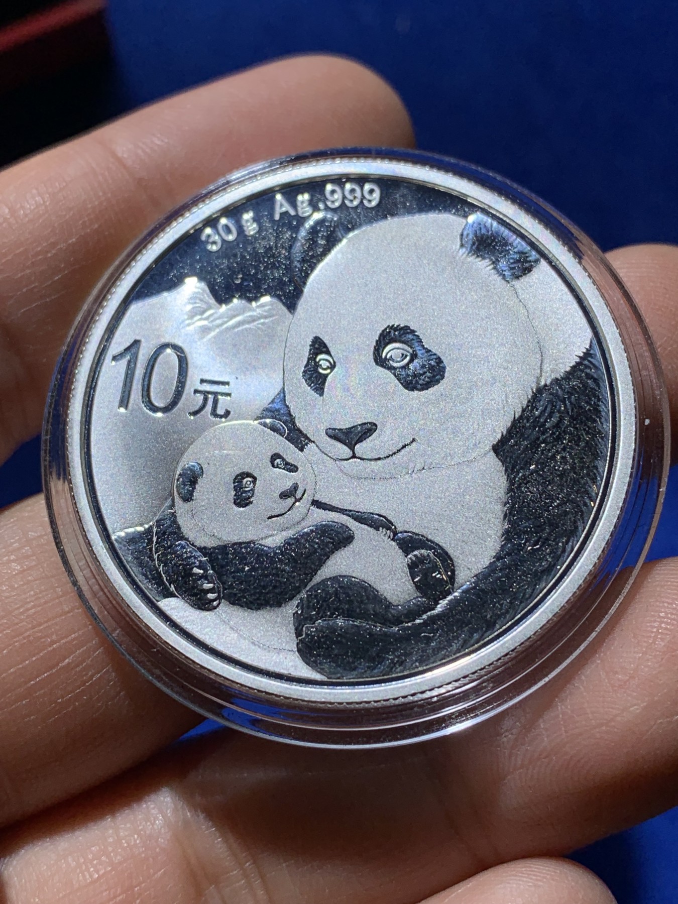 《竞宝斋》第222场-周日，周一 2场 (全场包邮) 2019年中国熊猫10元银币 999银 30克