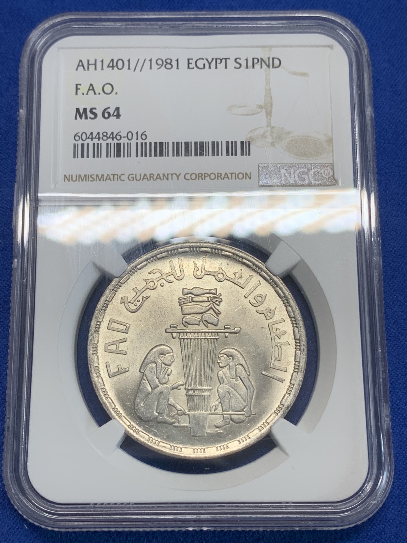 《竞宝斋》第222场-周日，周一 2场 (全场包邮) NGC MS64 埃及1981年埃及FAO纪念1镑银币，发行量50000 016