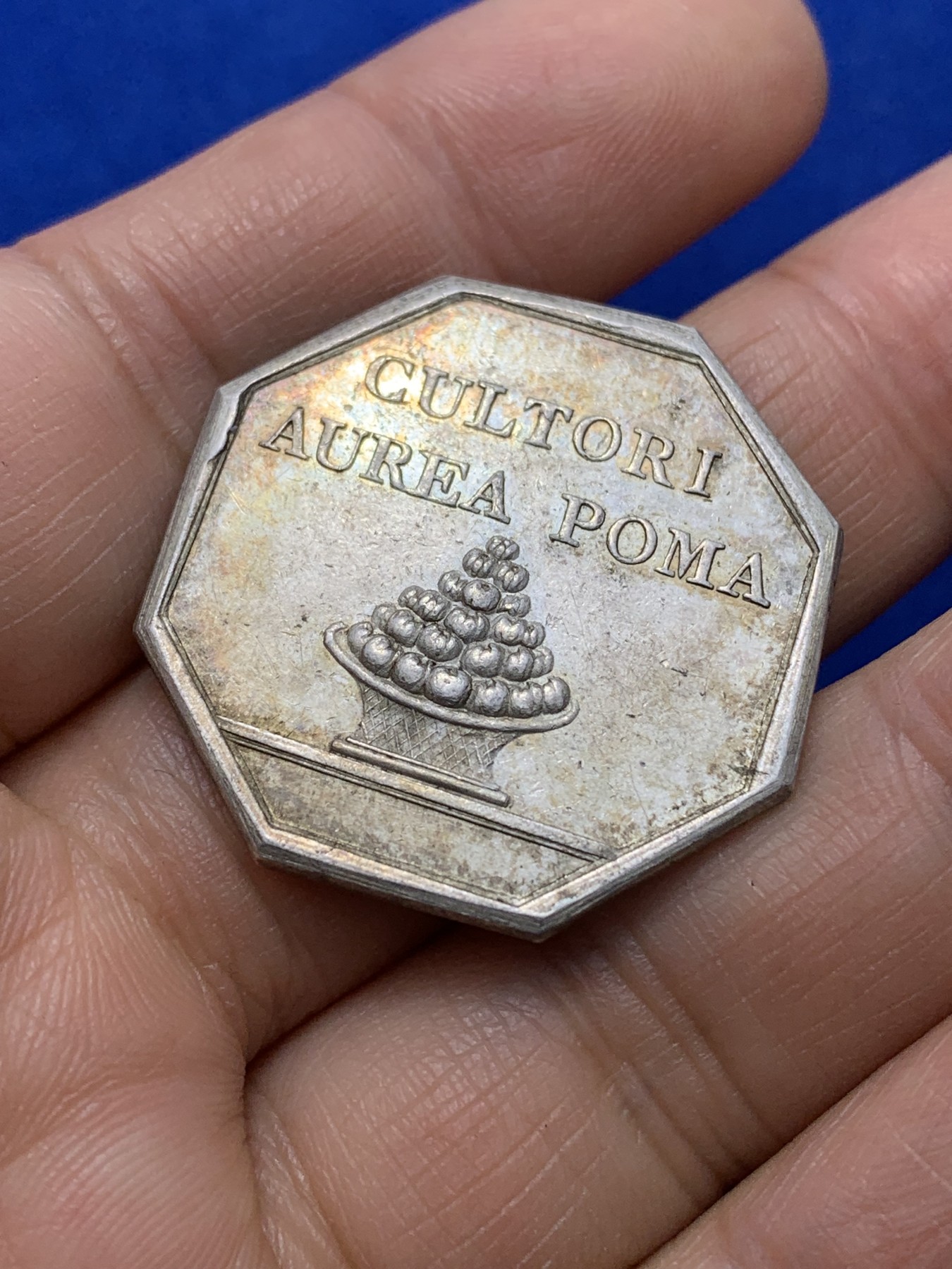 《竞宝斋》第222场-周日，周一 2场 (全场包邮) 法国红苹果园林银质八角代币 约31.6mm 12g 品相不错 早期无边铭（送小方盒）