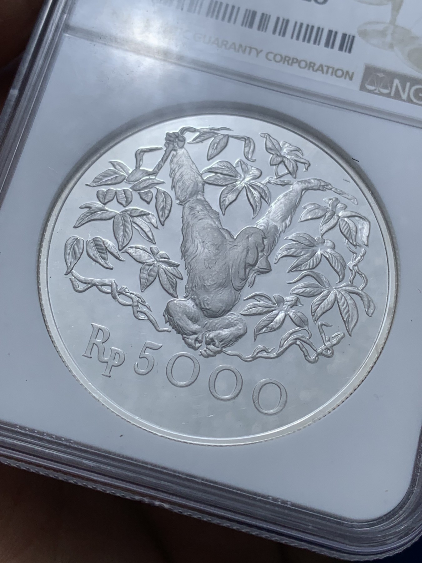 《竞宝斋》第222场-周日，周一 2场 (全场包邮) NGC-PF66 印度尼西亚1974年猩猩5000卢比精制银币，直径42mm，重35g，925银，发行量17000枚。PROOF镜面状态精制币，状态极佳，高分精品