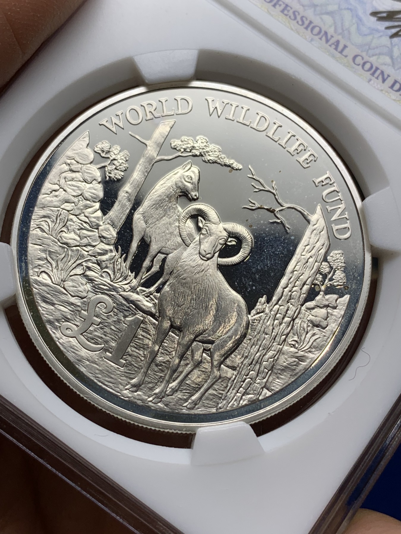 《竞宝斋》第222场-周日，周一 2场 (全场包邮) 塞浦路斯1986年1元精制大银币