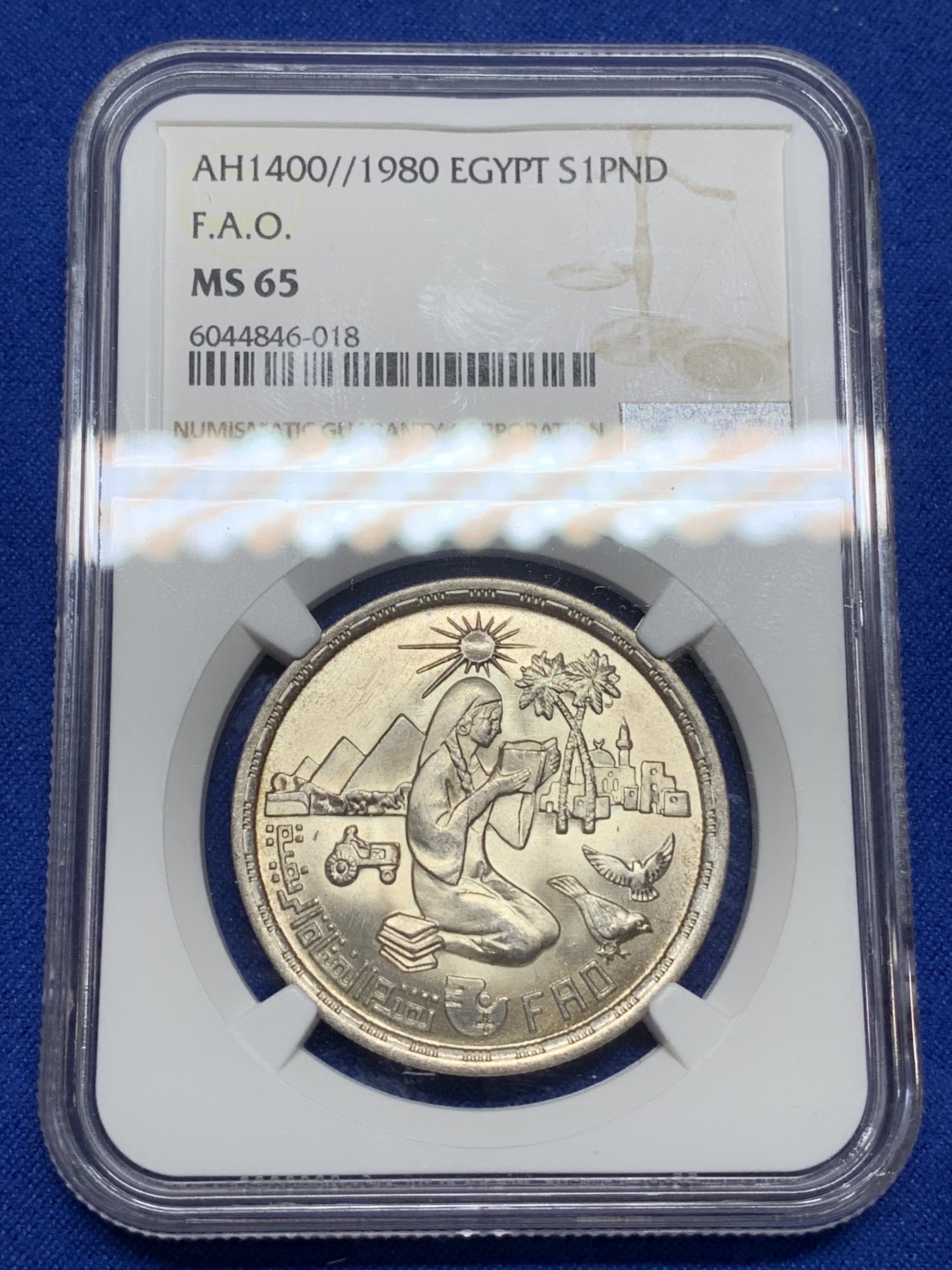 《竞宝斋》第222场-周日，周一 2场 (全场包邮) NGC MS65 埃及1980年埃及FAO纪念1镑银币，发行量97000 018