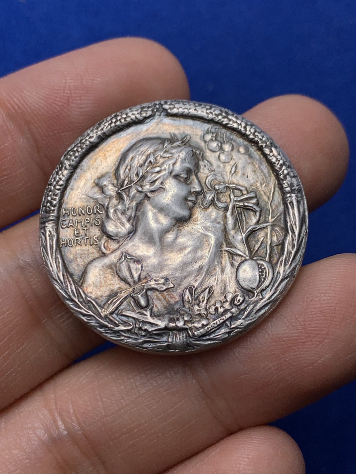 《竞宝斋》第222场-周日，周一 2场 (全场包邮) 1854意大利托斯卡纳园艺协会银章 33.6毫米 20.9克 雕刻精美 细节见图