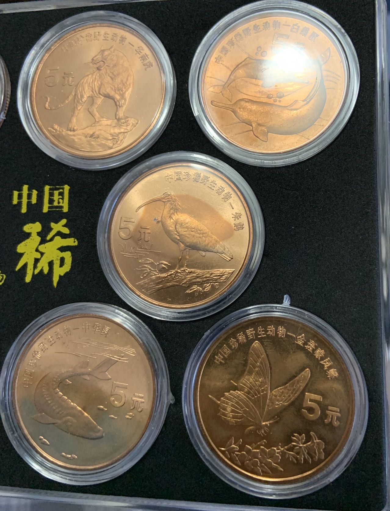 收藏联盟Quantum Auction 第310期拍卖 (已更新) 中国人民银行珍稀野生动物特种纪念币和七伟人流通纪念币两套 品相如图