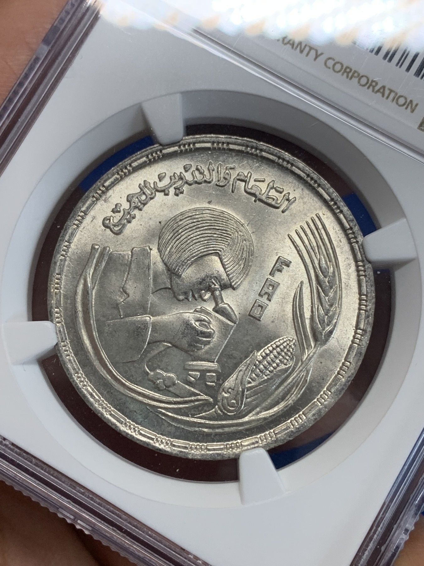 《竞宝斋》第222场-周日，周一 2场 (全场包邮) NGC MS64 埃及1978年FAO纪念1镑银币，发行量50000 031