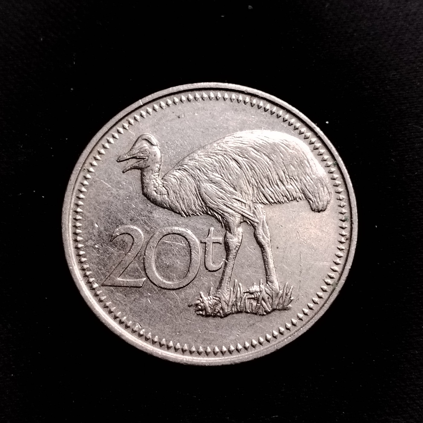 231208 巴布亚新几内亚20分