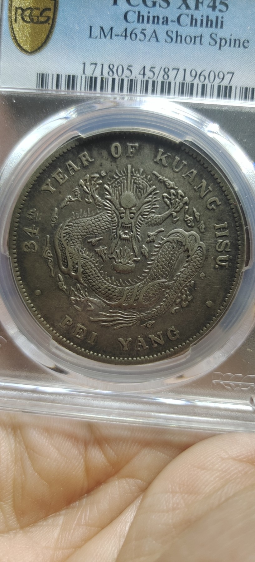 北洋龙酱彩短尾pcgs45