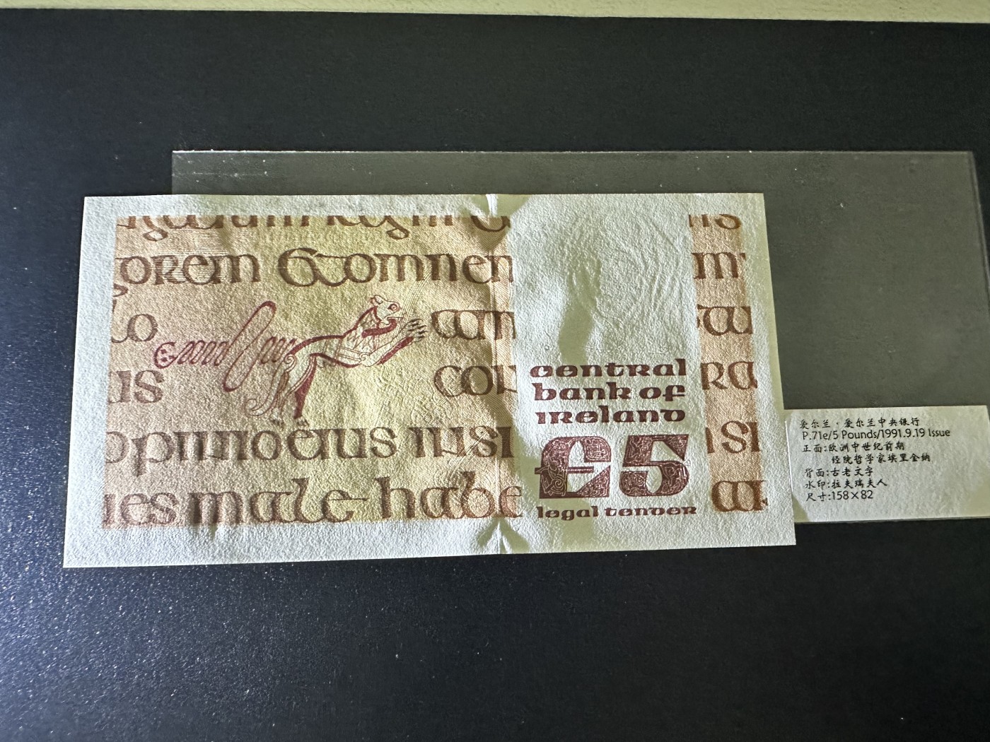 《外钞收藏家》第三百二十期（爱尔兰、北爱尔兰、马耳他专场） 爱尔兰中央银行1991年5镑 全新UNC