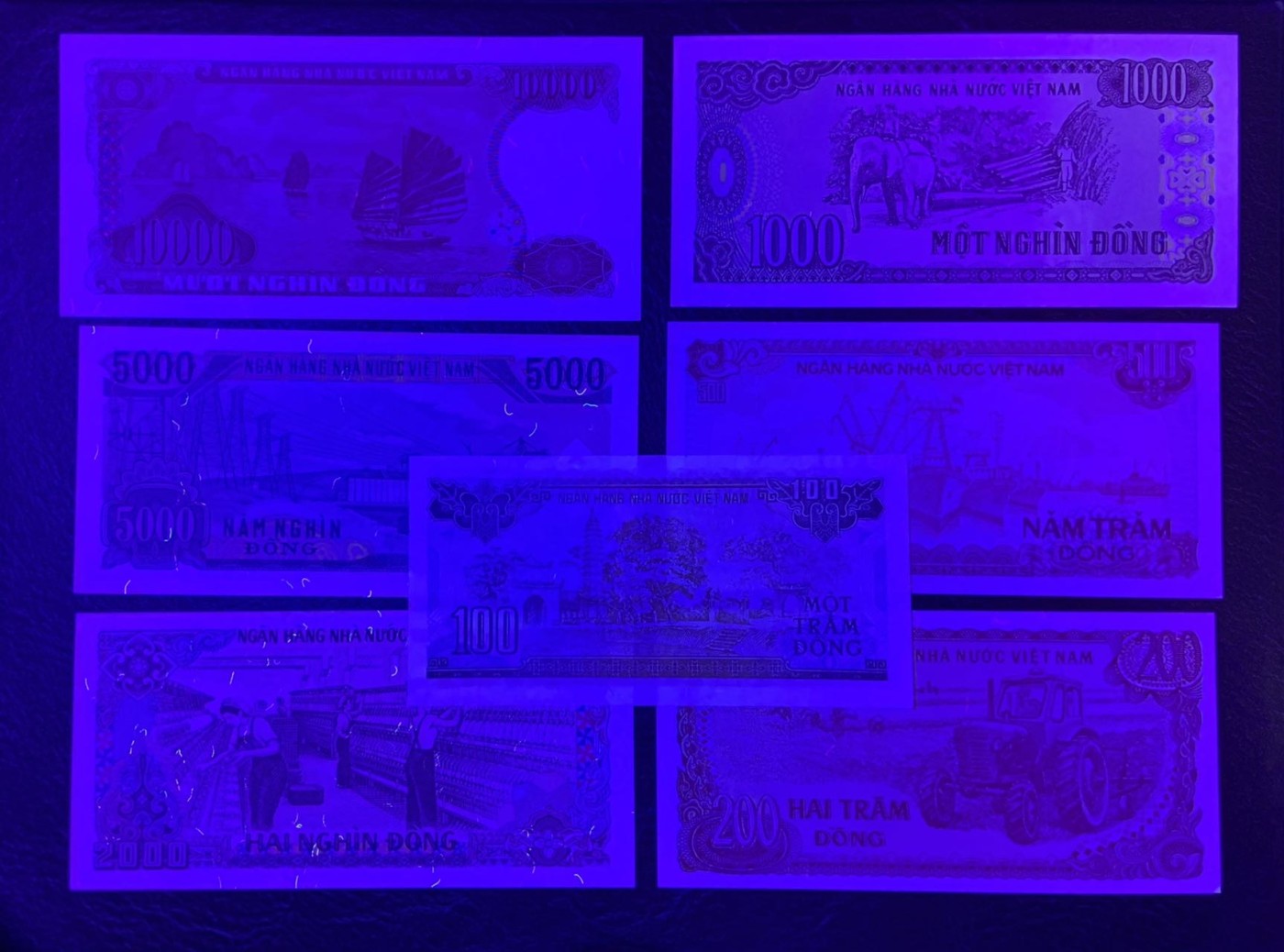 收藏联盟Quantum Auction 第310期拍卖 (已更新) 越南1988-93年100到10000盾一套 品相UNC