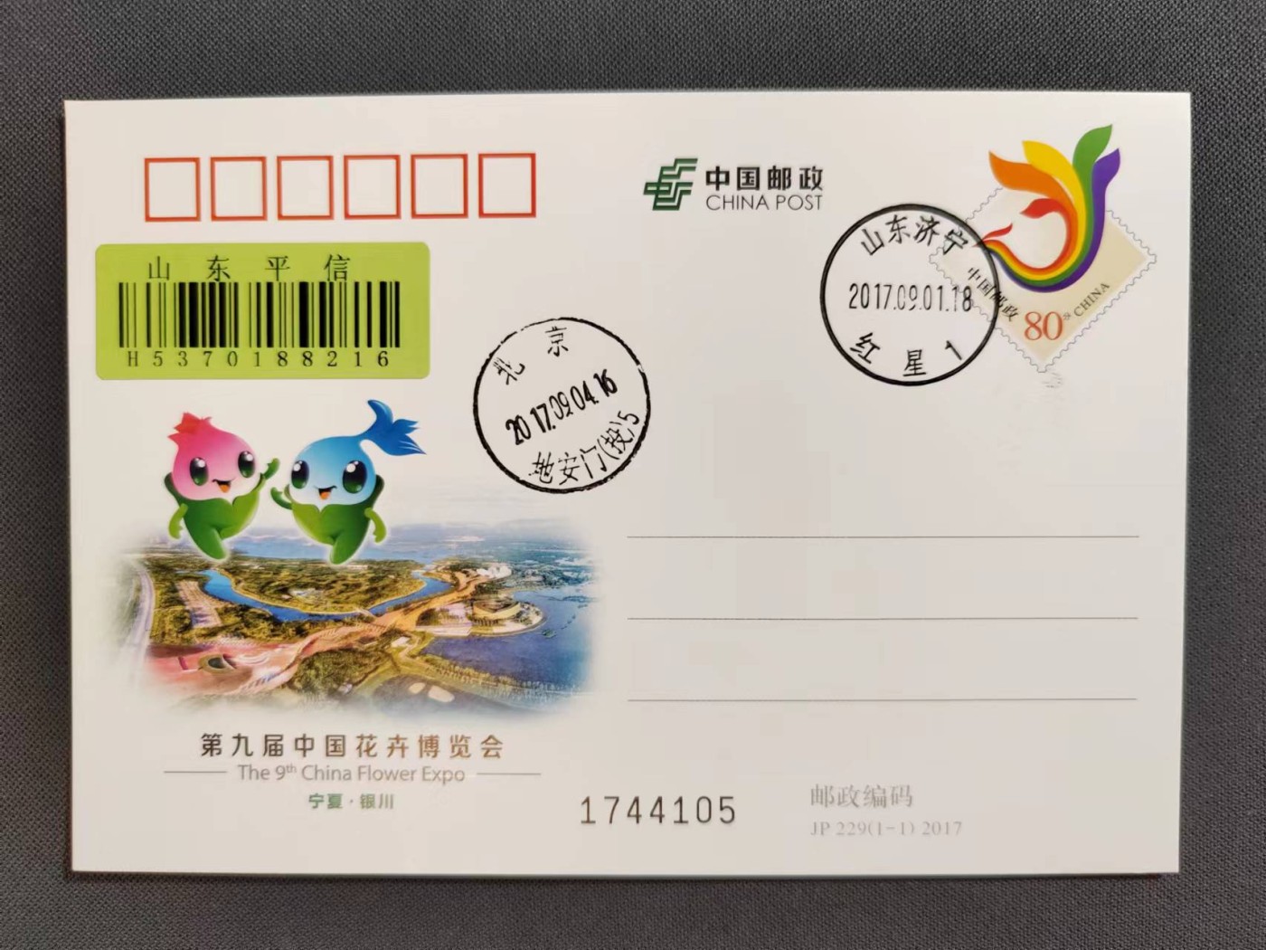 【第60期】莲池国际邮品拍卖 【JP纪念邮资片】第九届中国花卉博览会 山东济宁红星 山东平信条