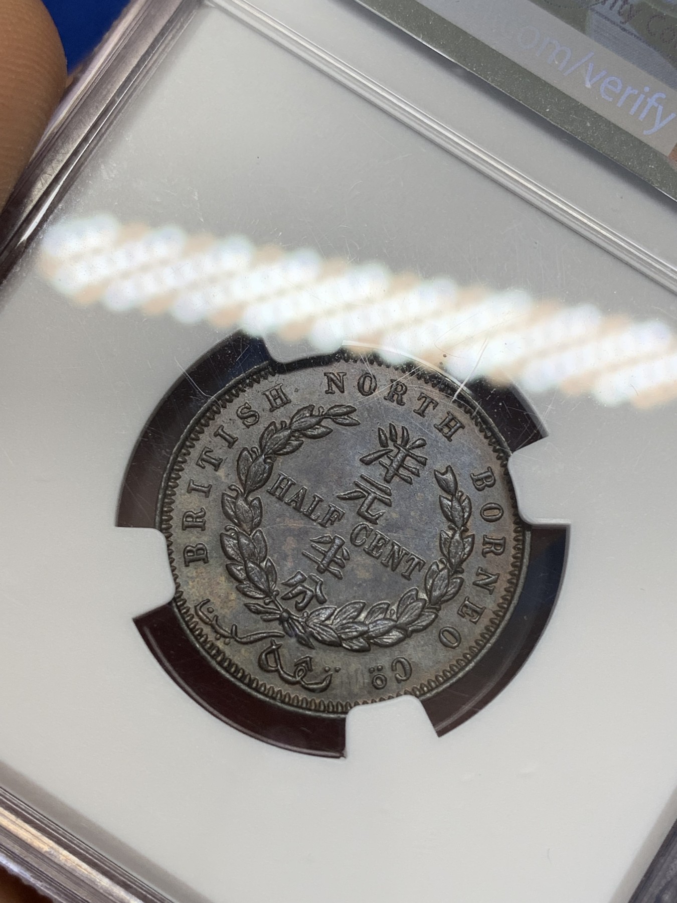 《竞宝斋》第223场-周日，周一 2场 (全场包邮) NGC-MS65BN 1891年北婆罗洲洋元半分铜元，少见带汉字的铜元品种。丝滑巧克力，小狮子五官清晰，细节惊人。65顶级分数，一步到位