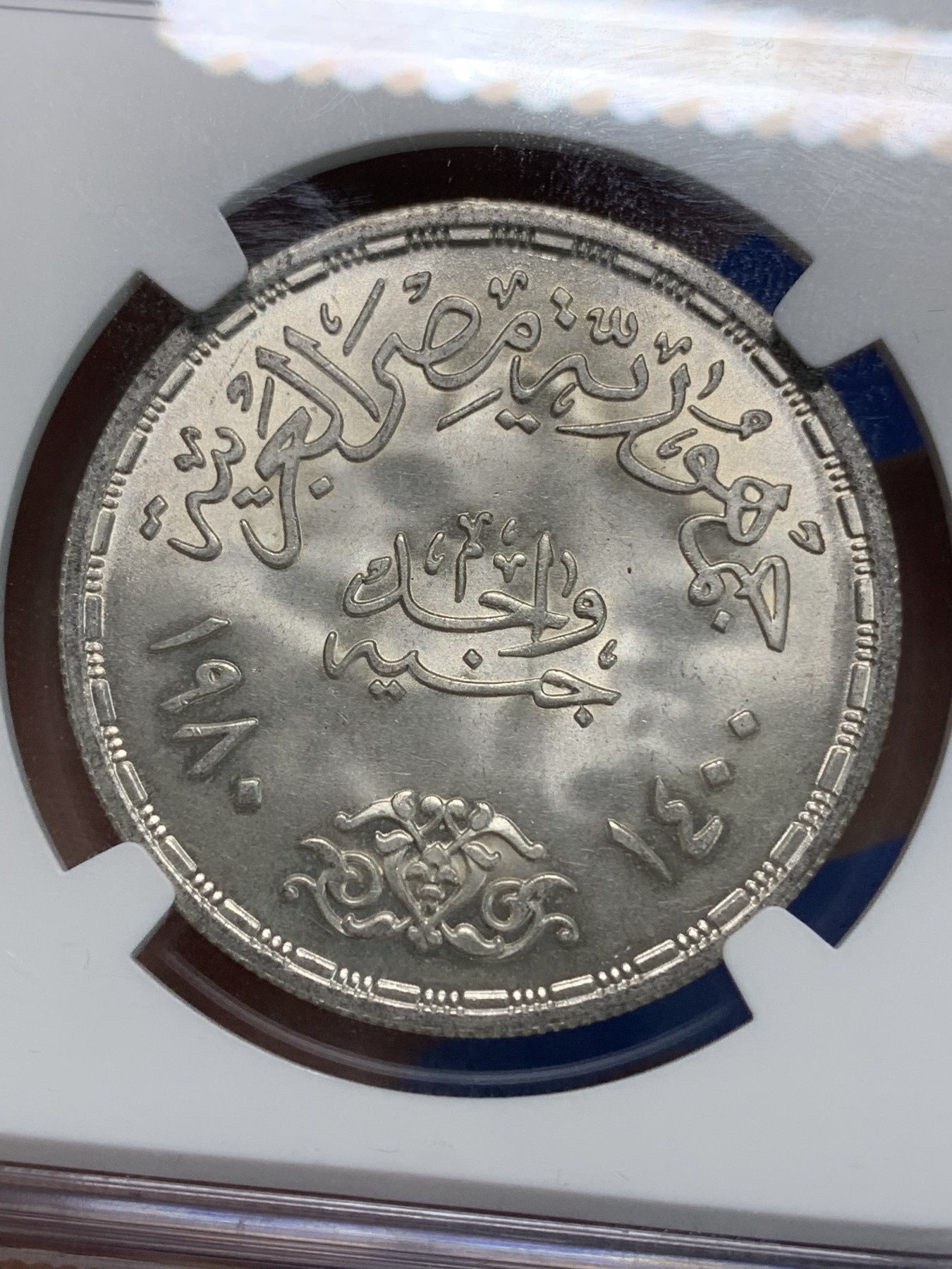《竞宝斋》第223场-周日，周一 2场 (全场包邮) NGC MS66 埃及1980年FAO纪念1镑银币，发行量97000 #017
