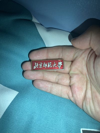 古冰库勋章杂项交流群第十三场群拍 - 北京师范大学校徵
