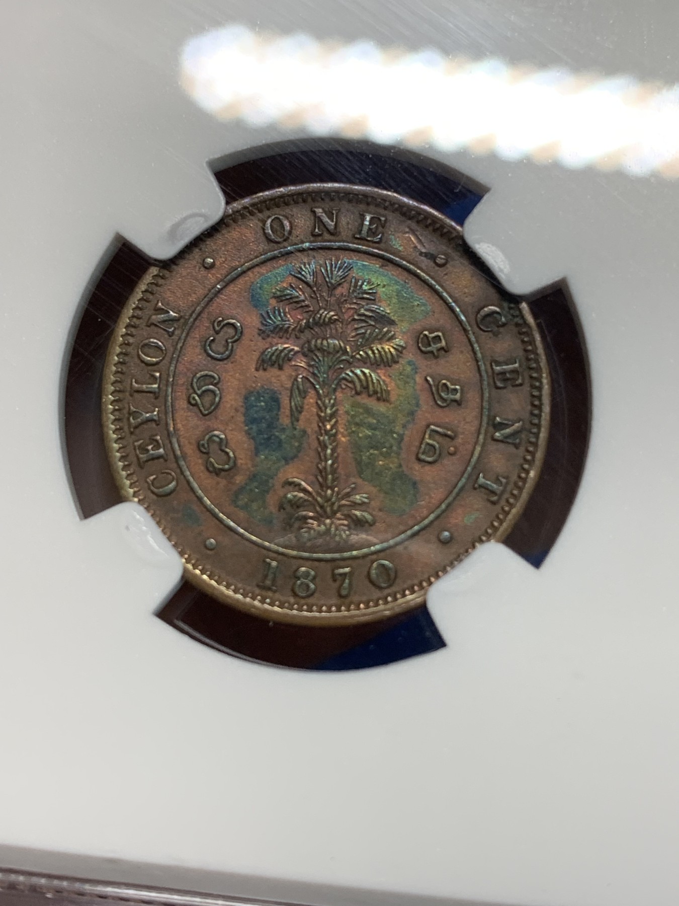 《竞宝斋》第223场-周日，周一 2场 (全场包邮) NGC XFD 1870年锡兰1分铜币