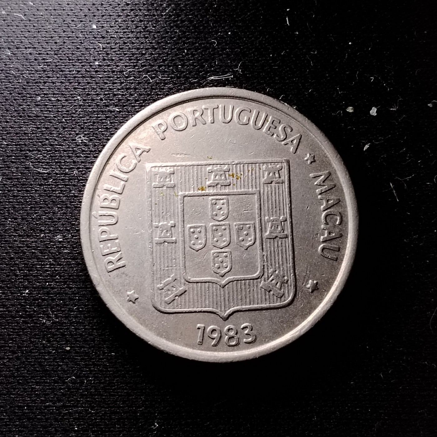 231210 1983小鱼